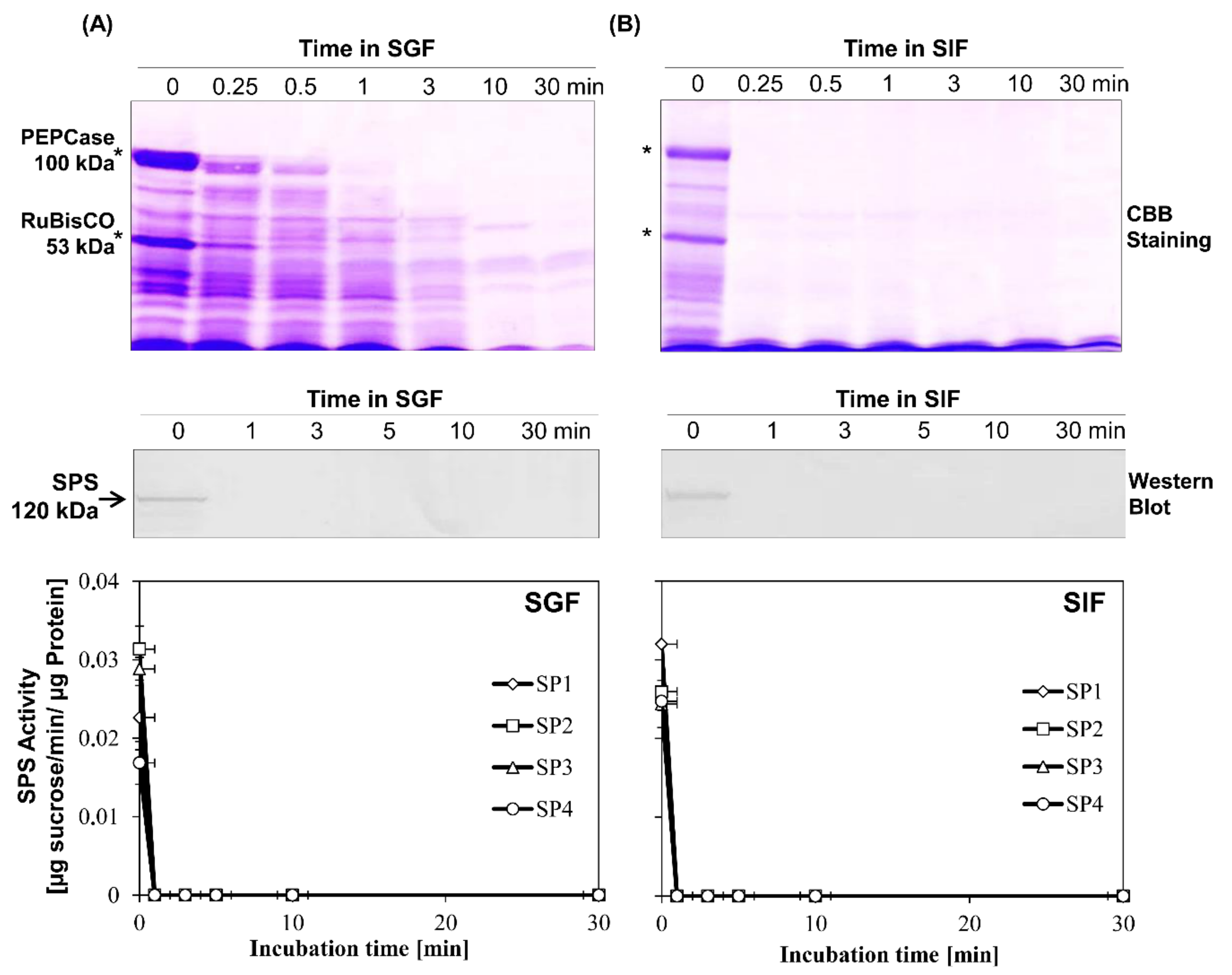 Agronomy 09 00023 g002