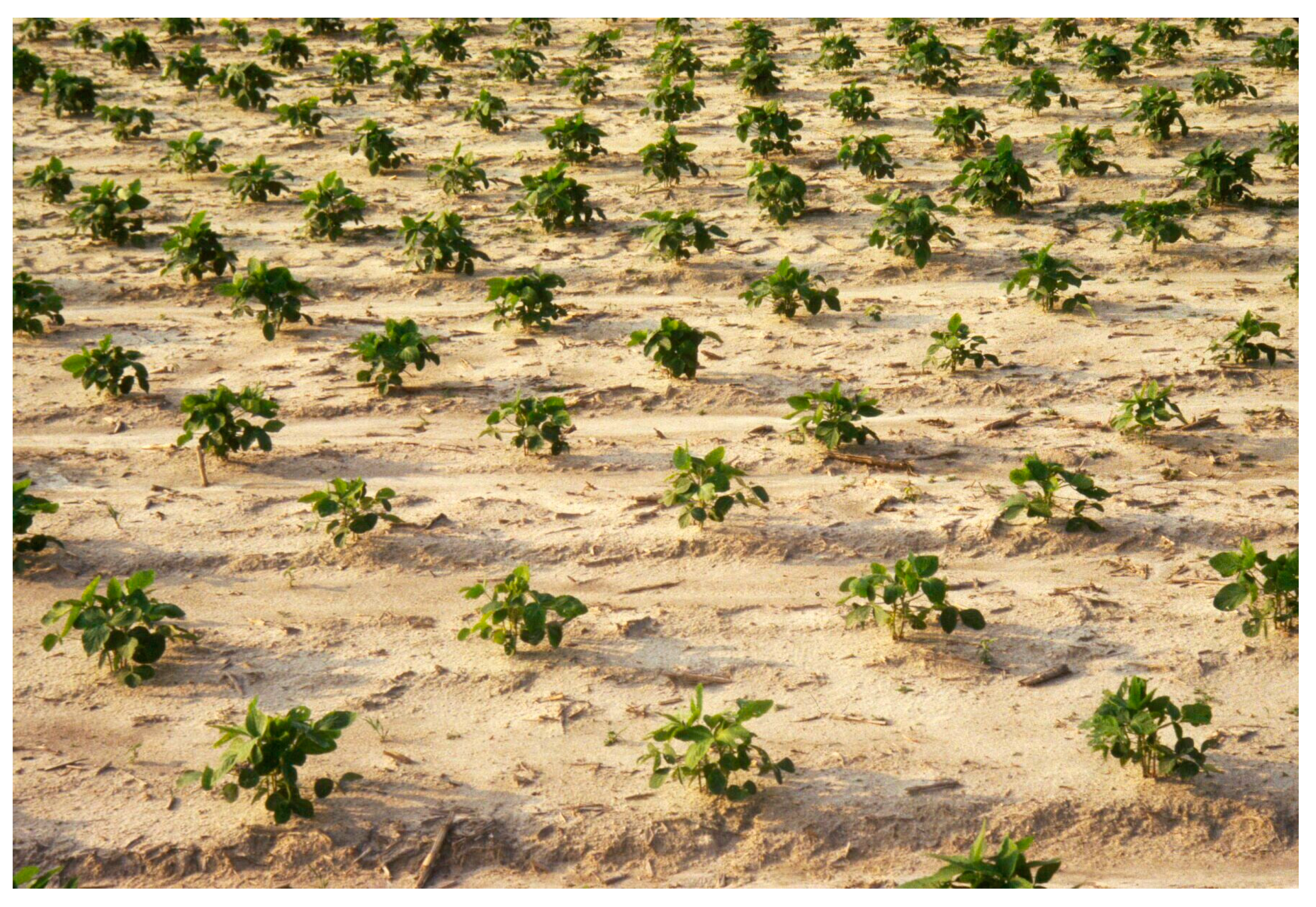 Agronomy 09 00025 g008