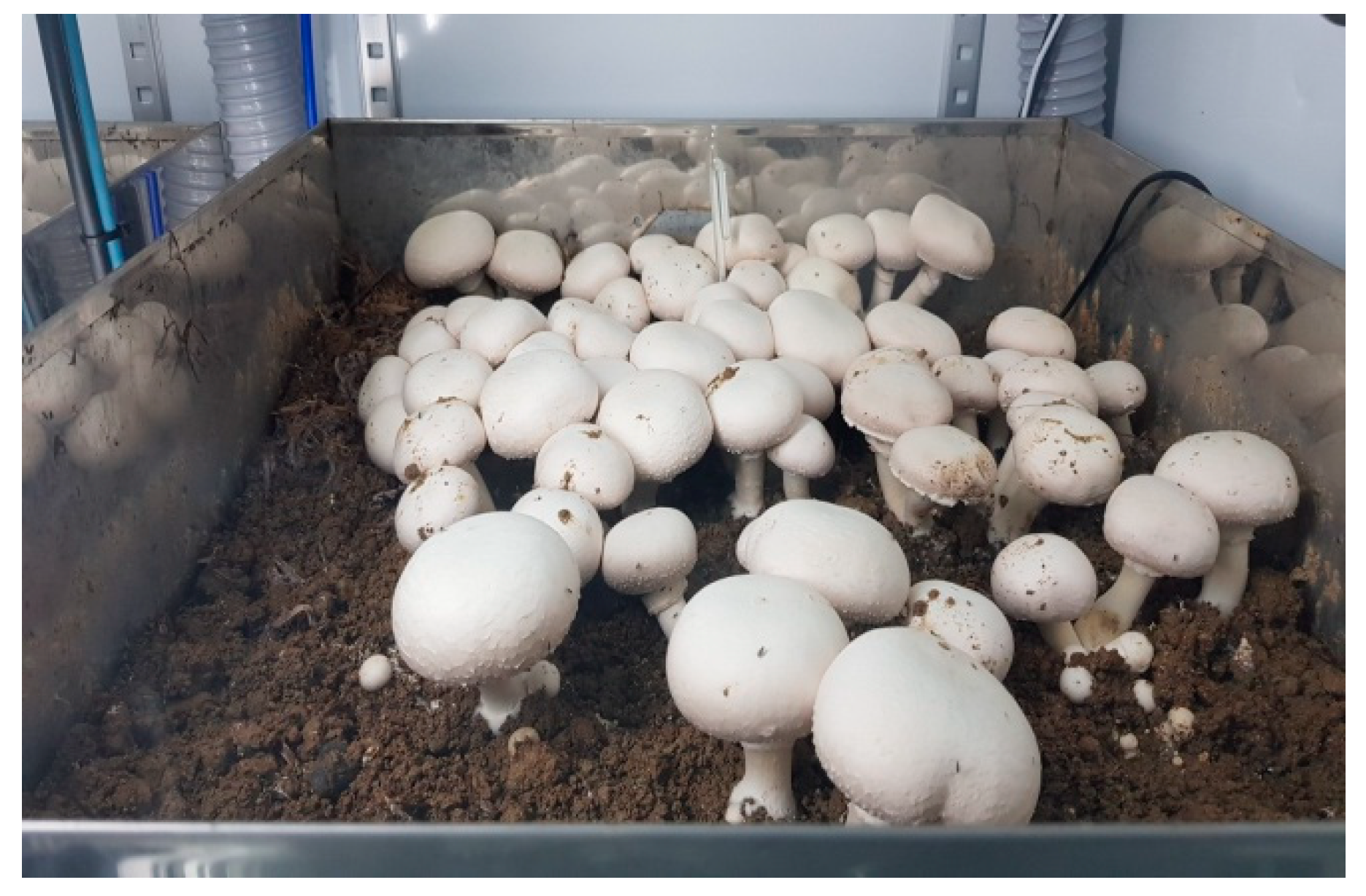 Agronomy 09 00032 g002b