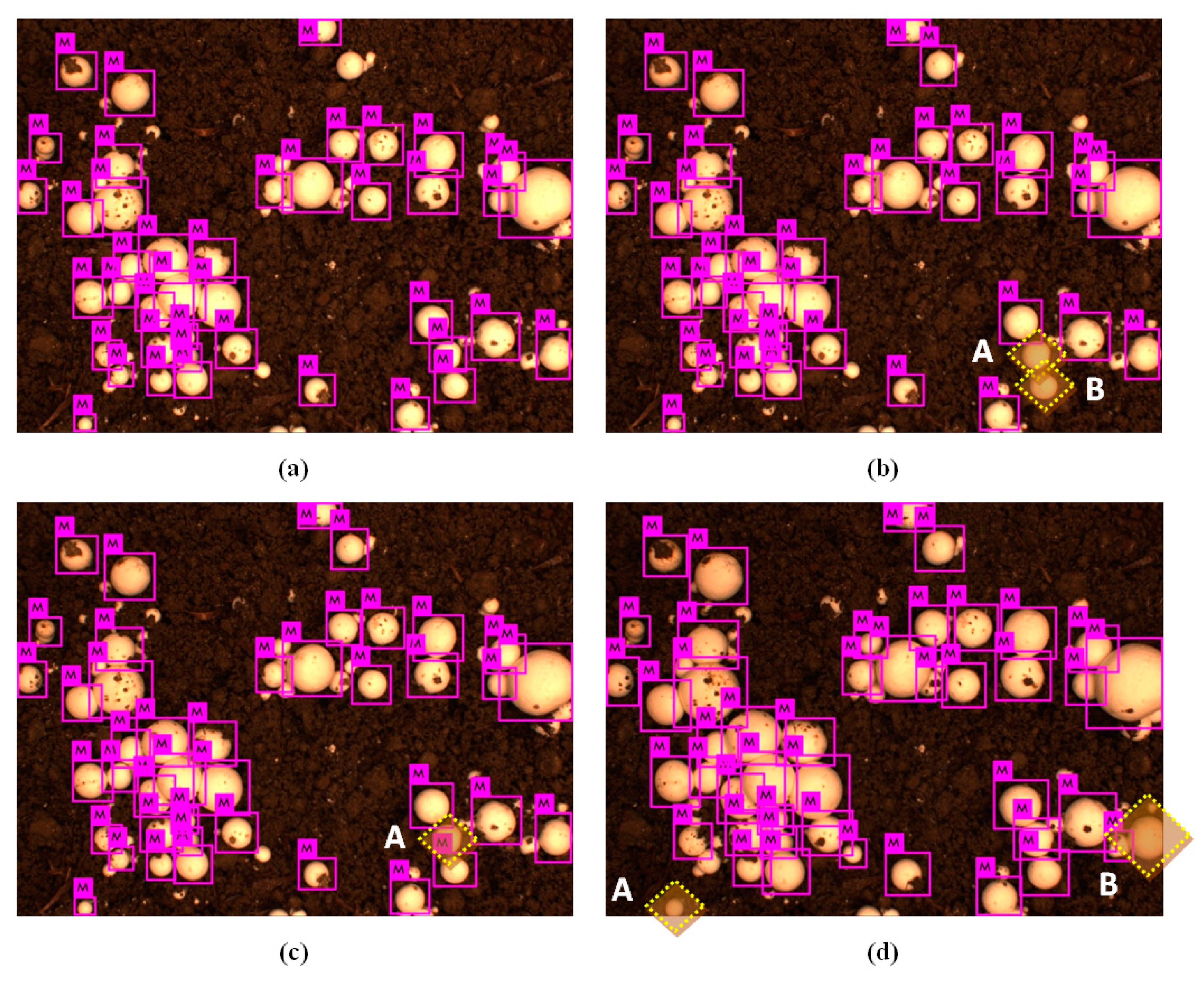 Agronomy 09 00032 g005