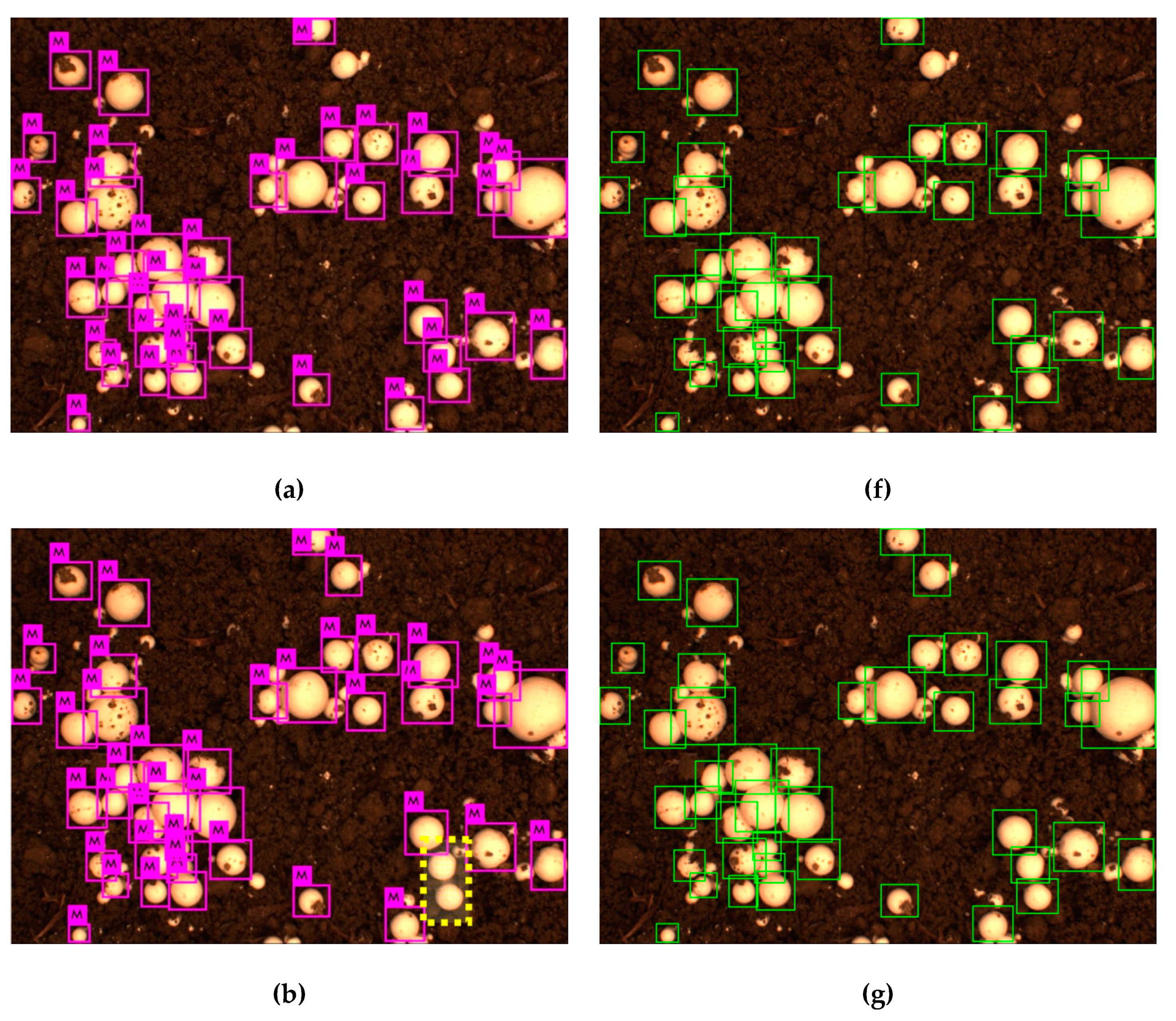 Agronomy 09 00032 g008a