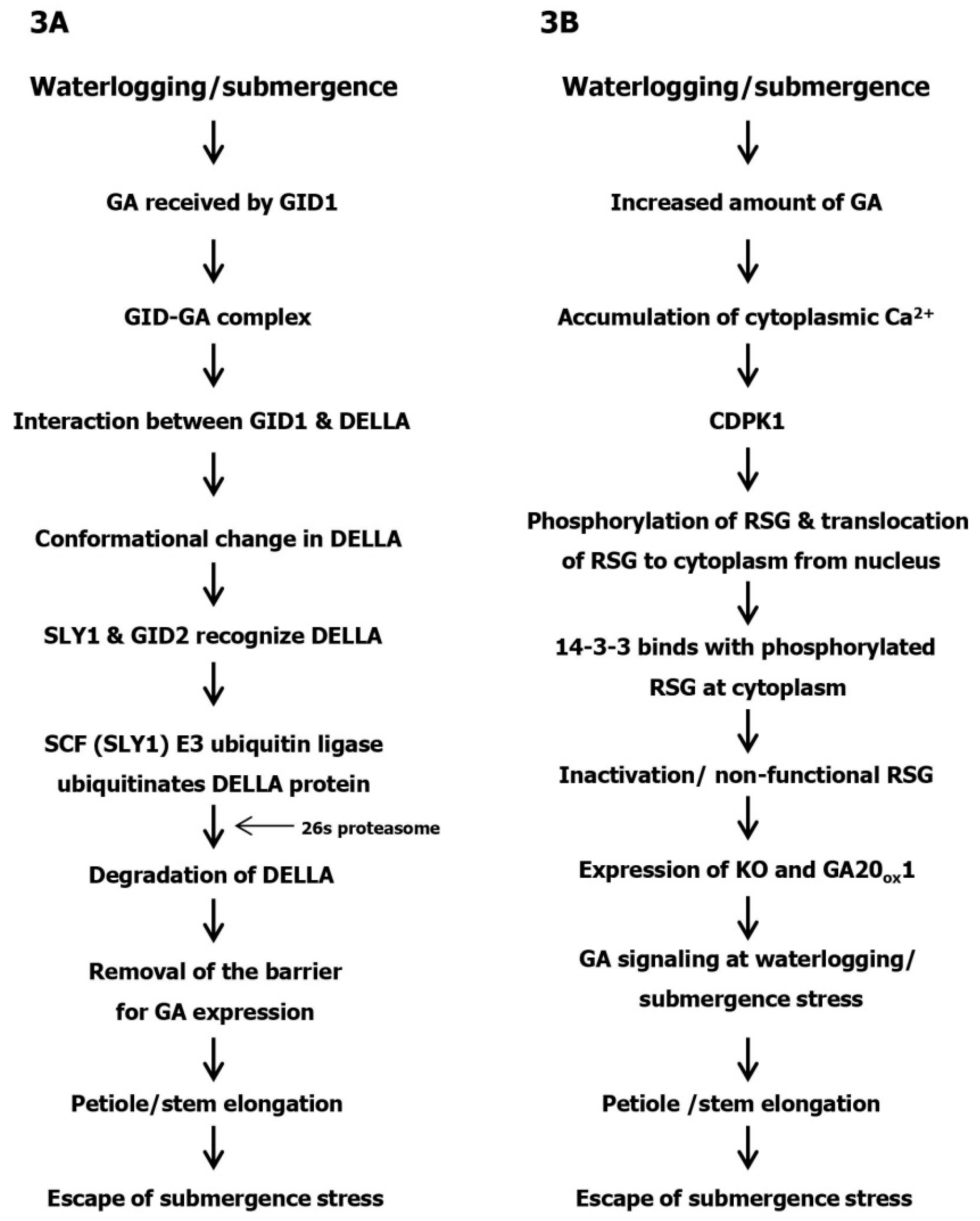 Agronomy 09 00043 g003