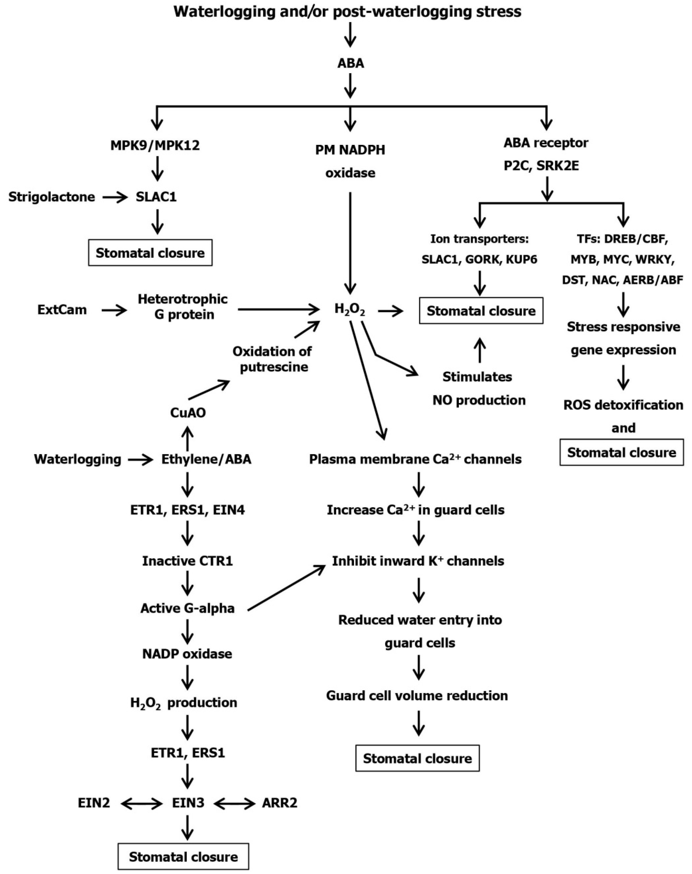 Agronomy 09 00043 g004