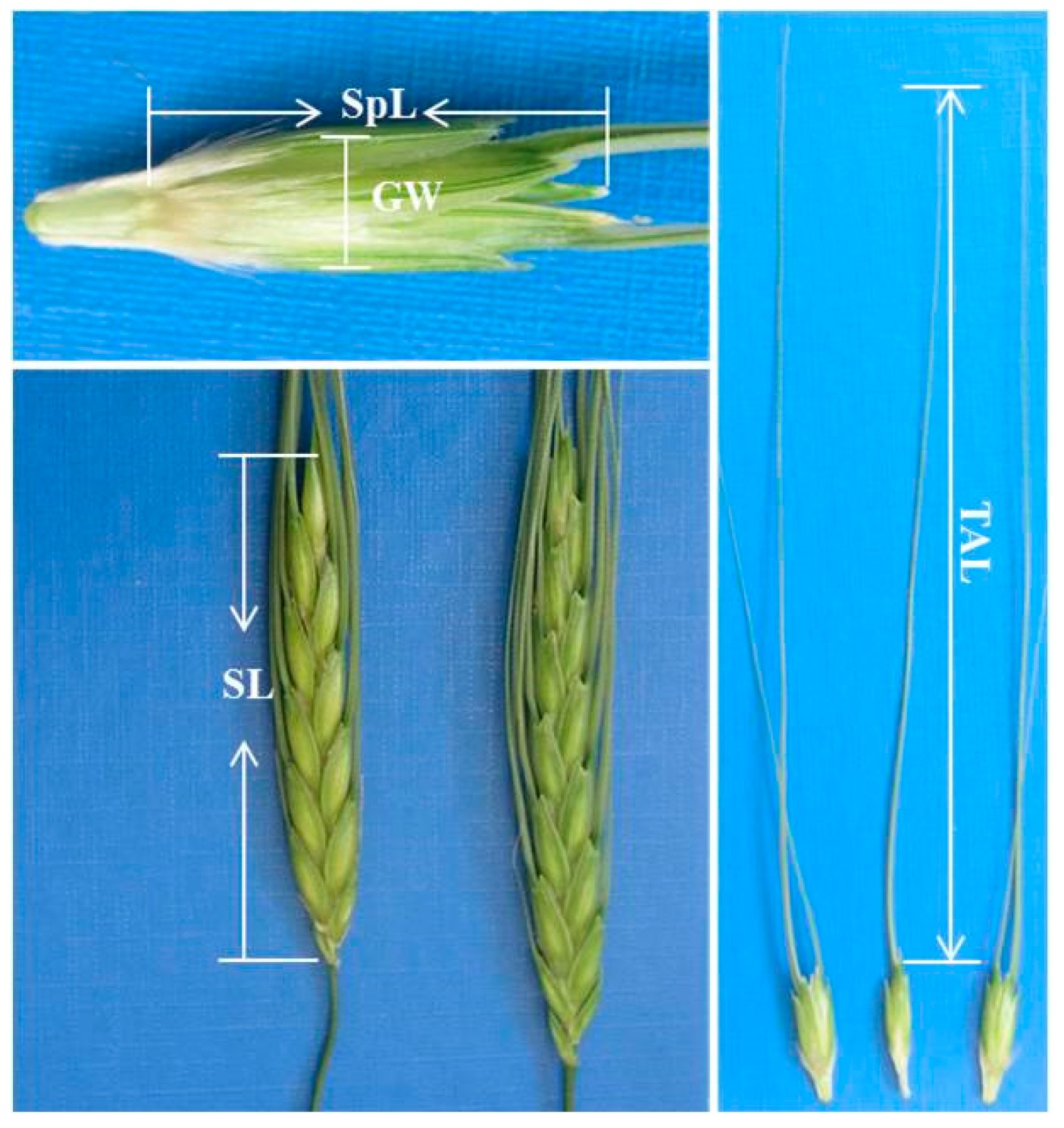Agronomy 09 00044 g001