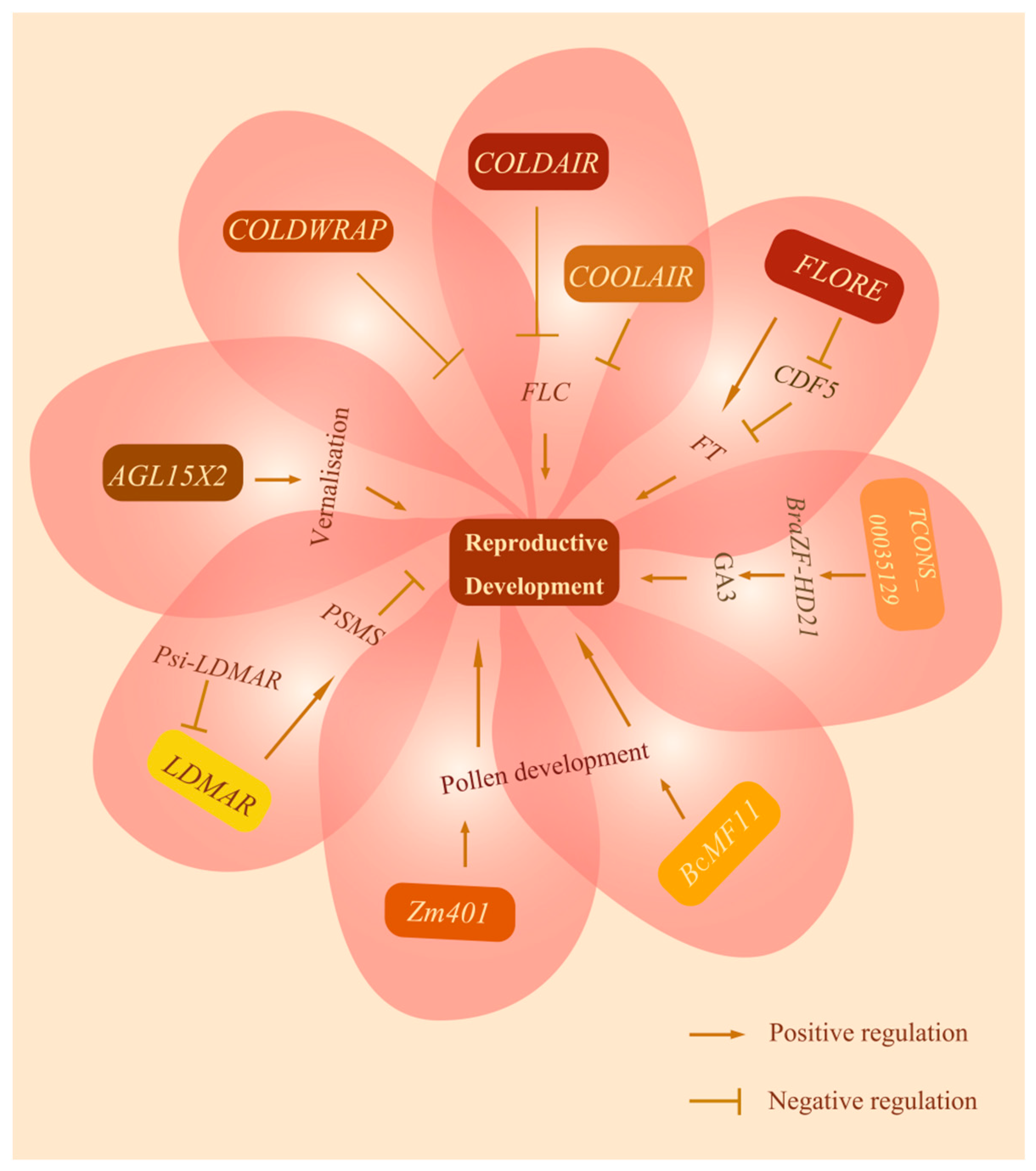 Agronomy 09 00053 g001