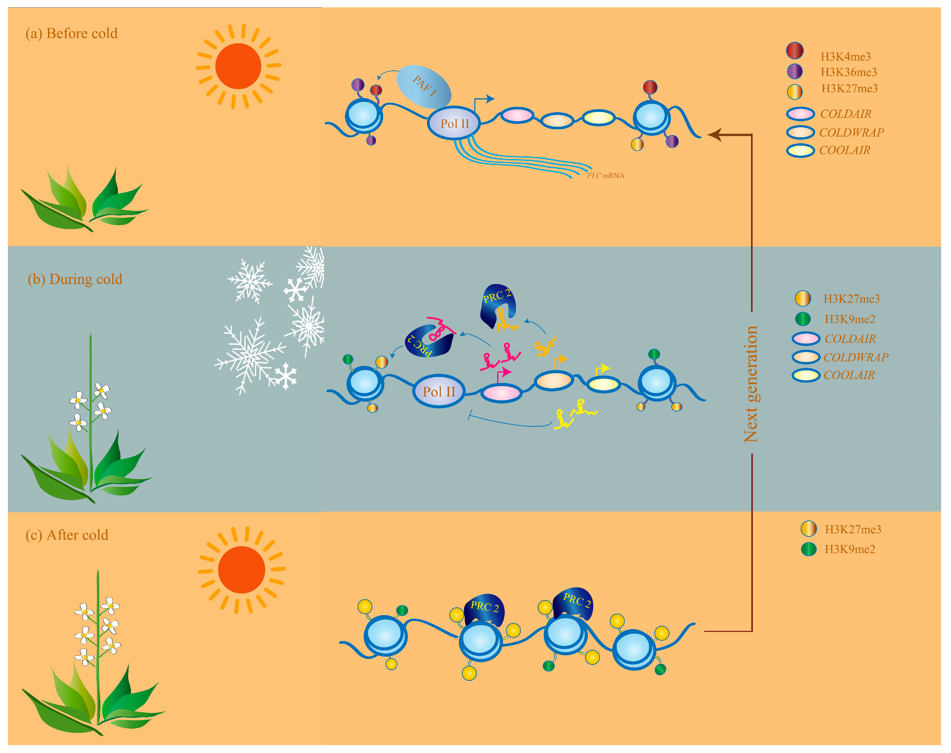 Agronomy 09 00053 g002