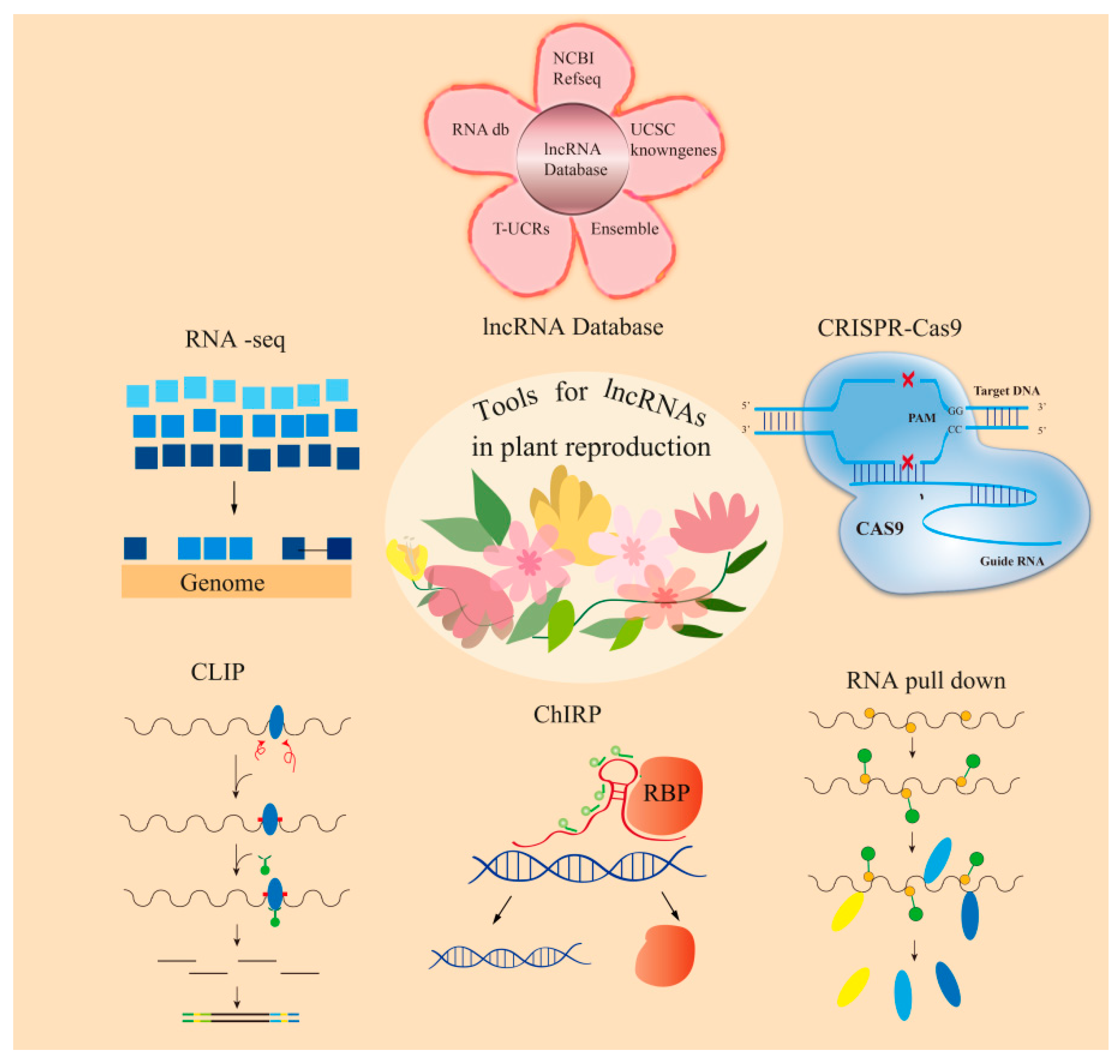 Agronomy 09 00053 g003