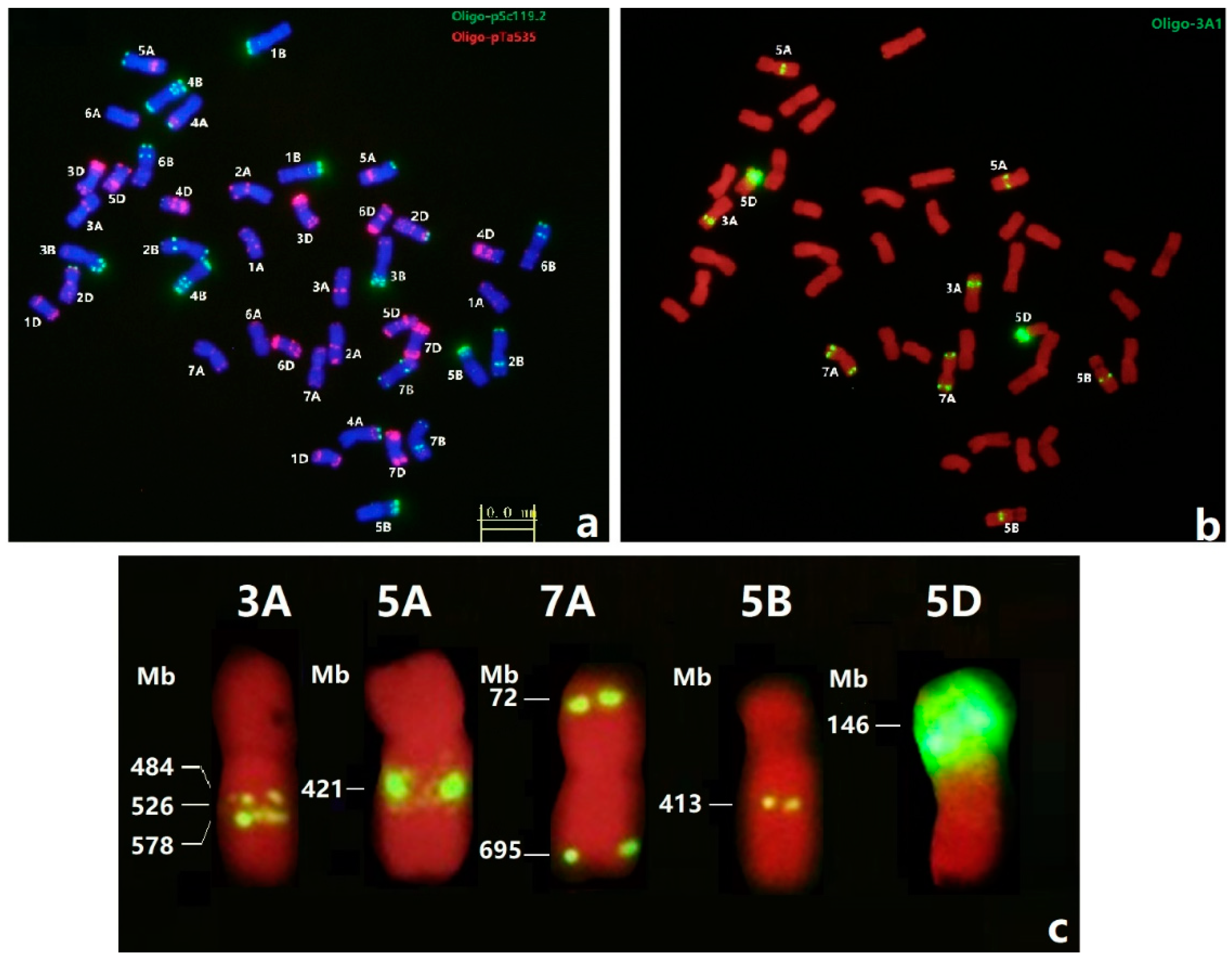 Agronomy 09 00060 g004 Agronomy 09 00060 g004