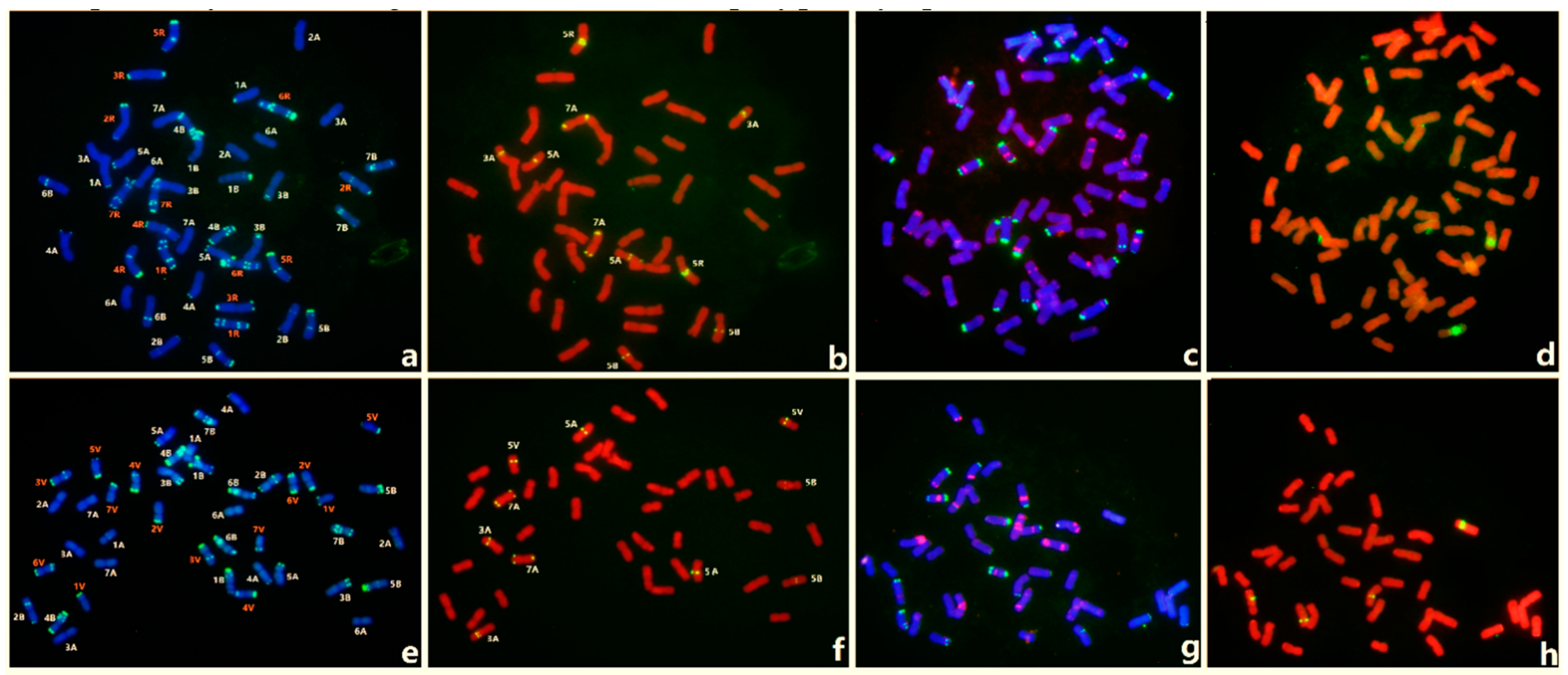 Agronomy 09 00060 g006 Agronomy 09 00060 g006