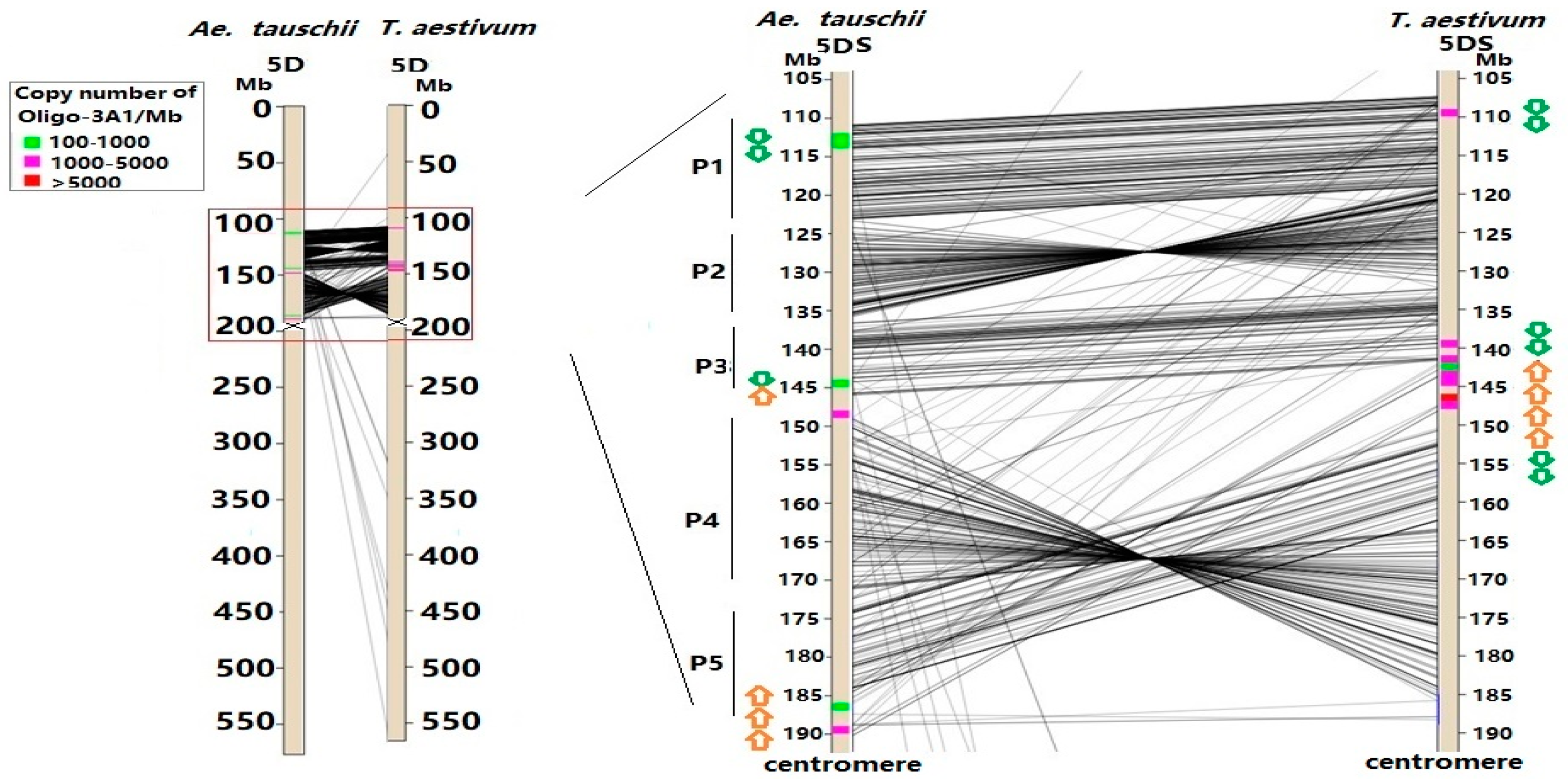 Agronomy 09 00060 g007 Agronomy 09 00060 g007