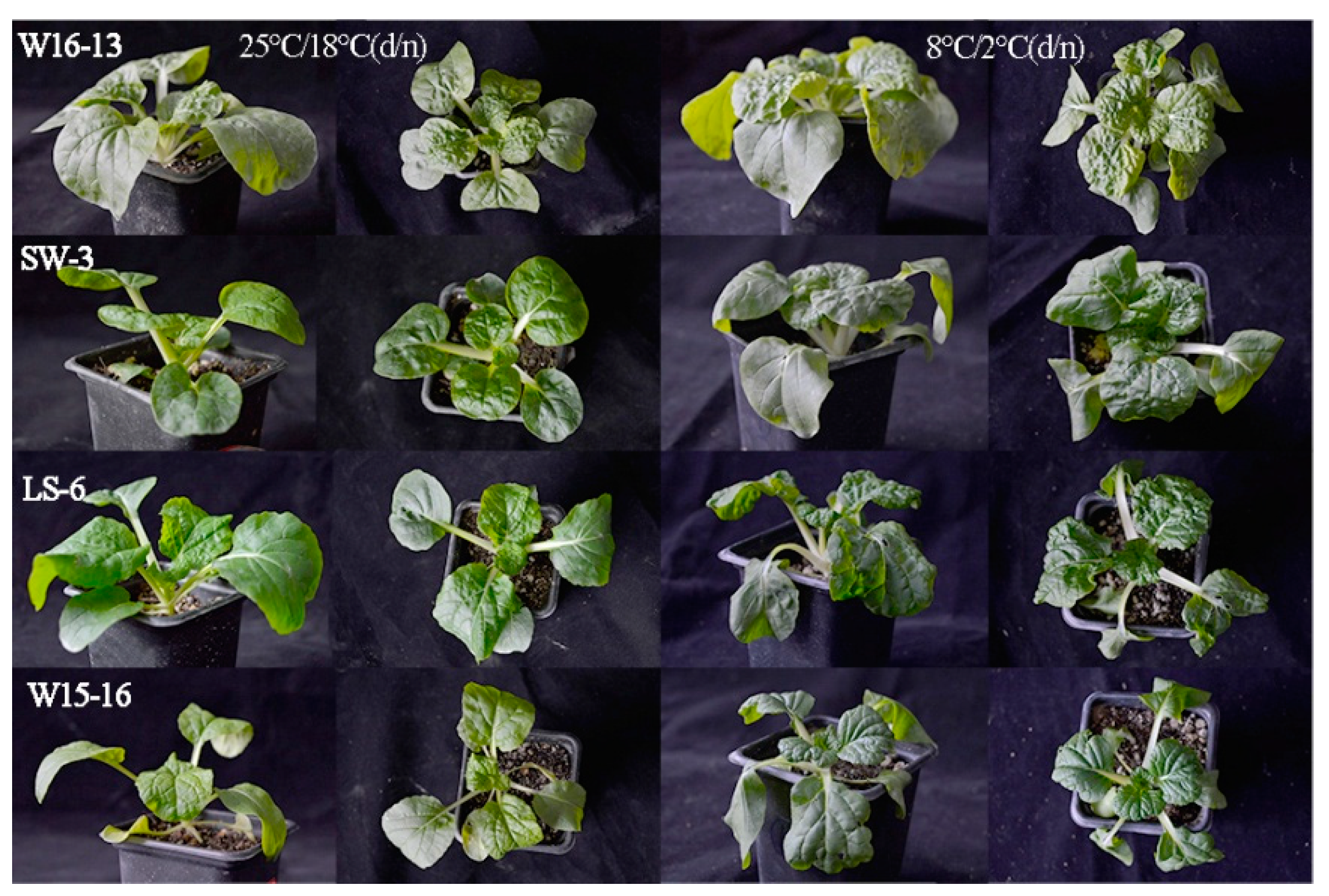 Agronomy 09 00061 g008 Agronomy 09 00061 g008