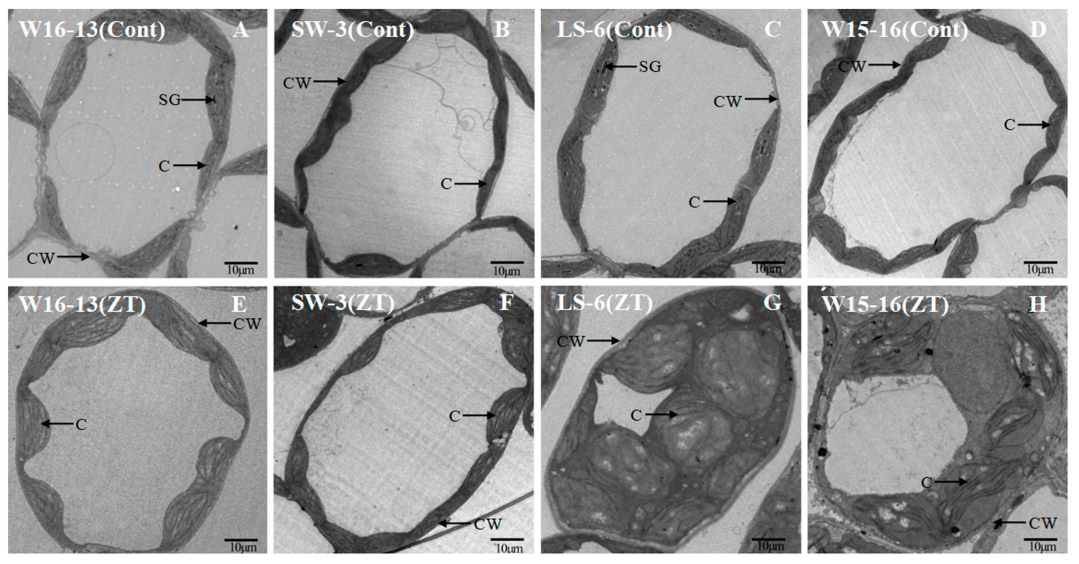 Agronomy 09 00061 g012 Agronomy 09 00061 g012