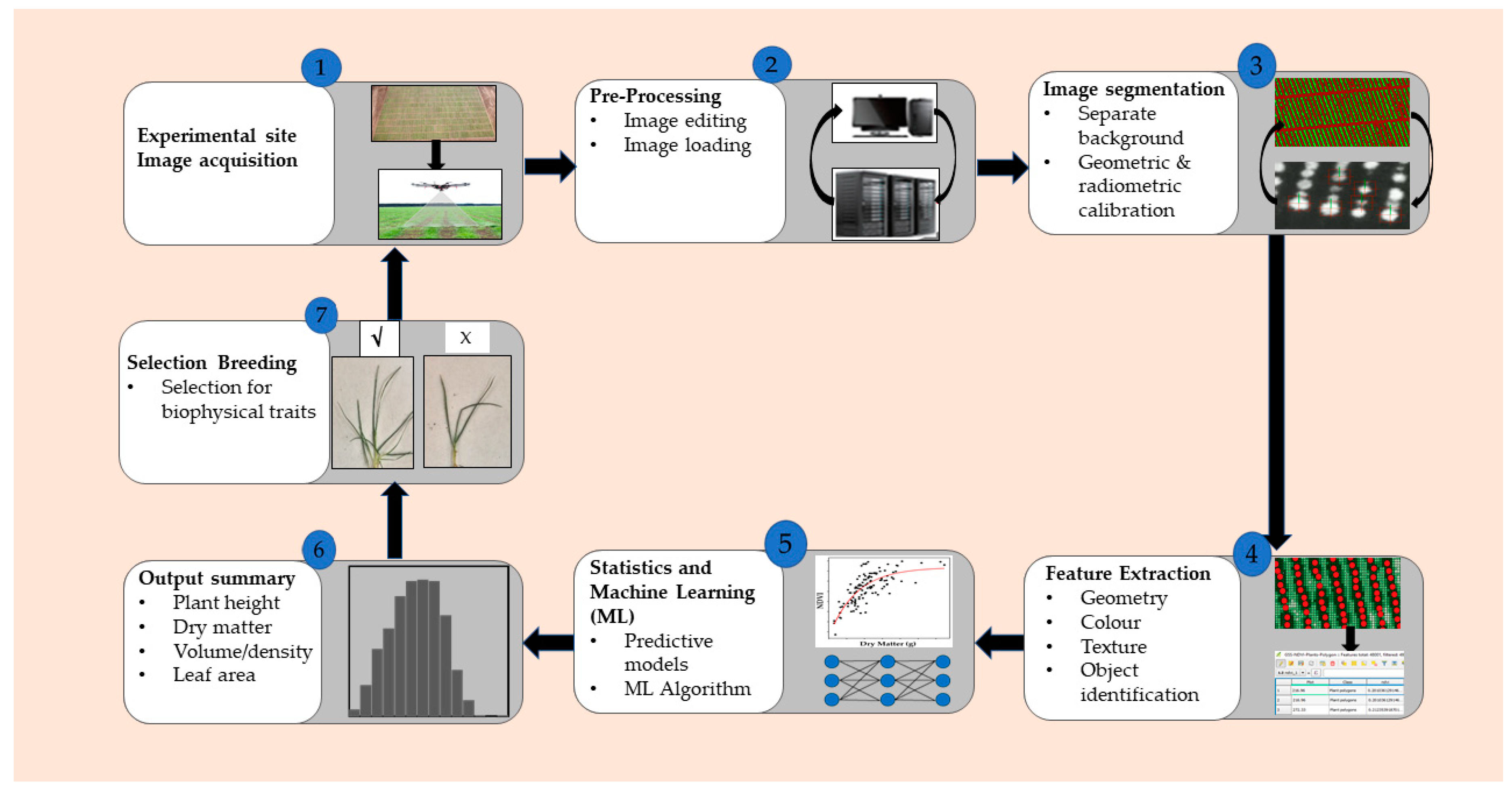 Agronomy 09 00065 g004