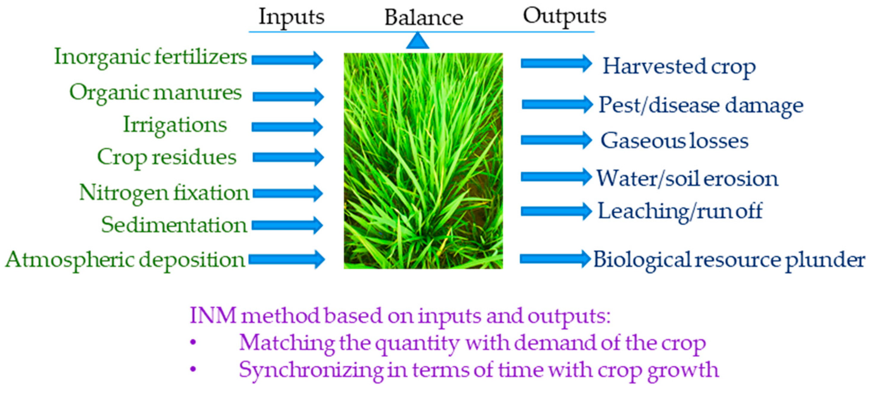 Agronomy 09 00071 g003