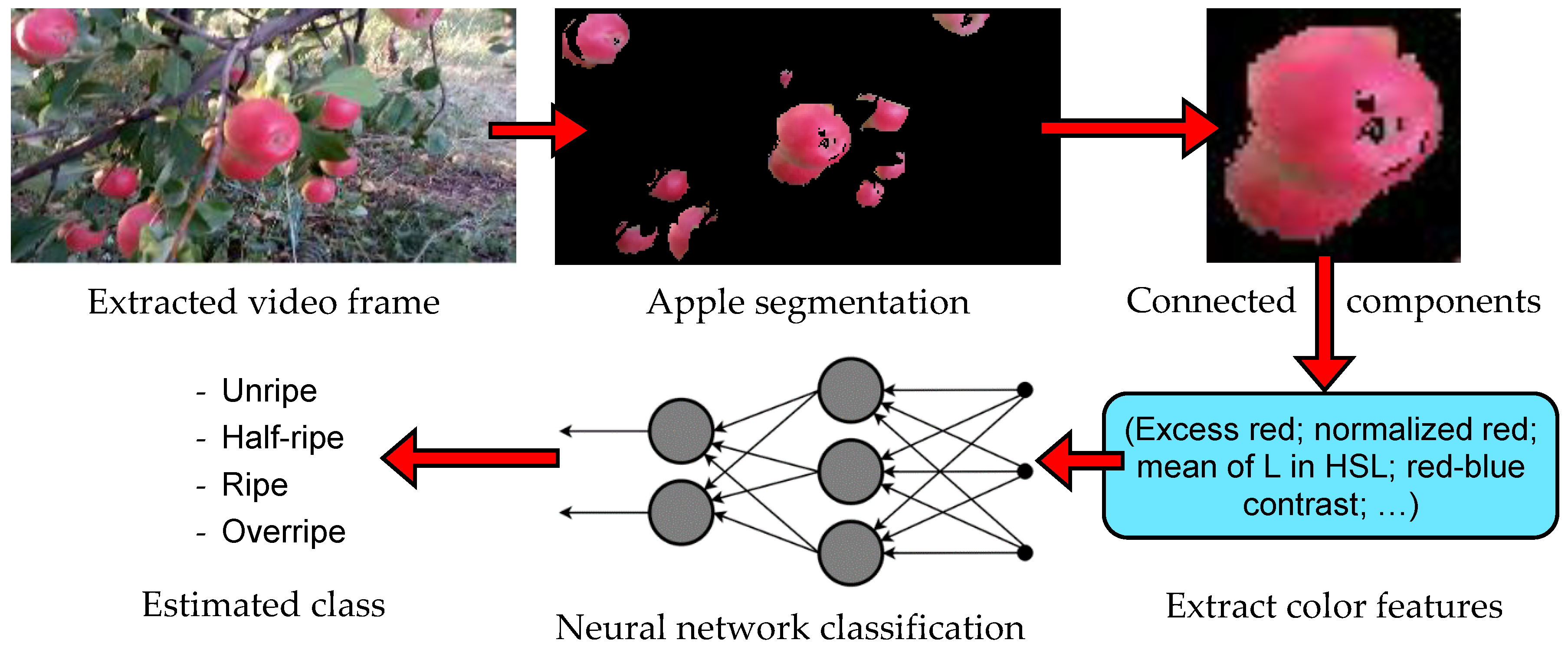 Agronomy 09 00084 g001