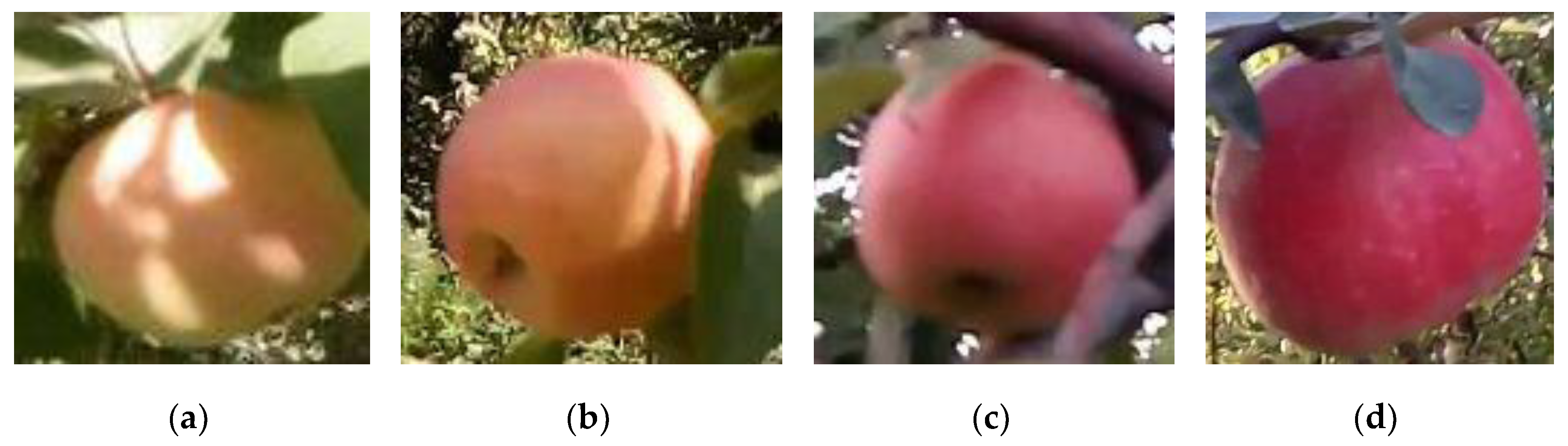 Agronomy 09 00084 g002