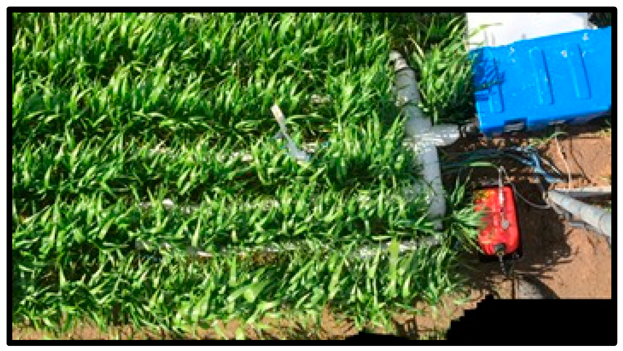 Agronomy 09 00096 g002