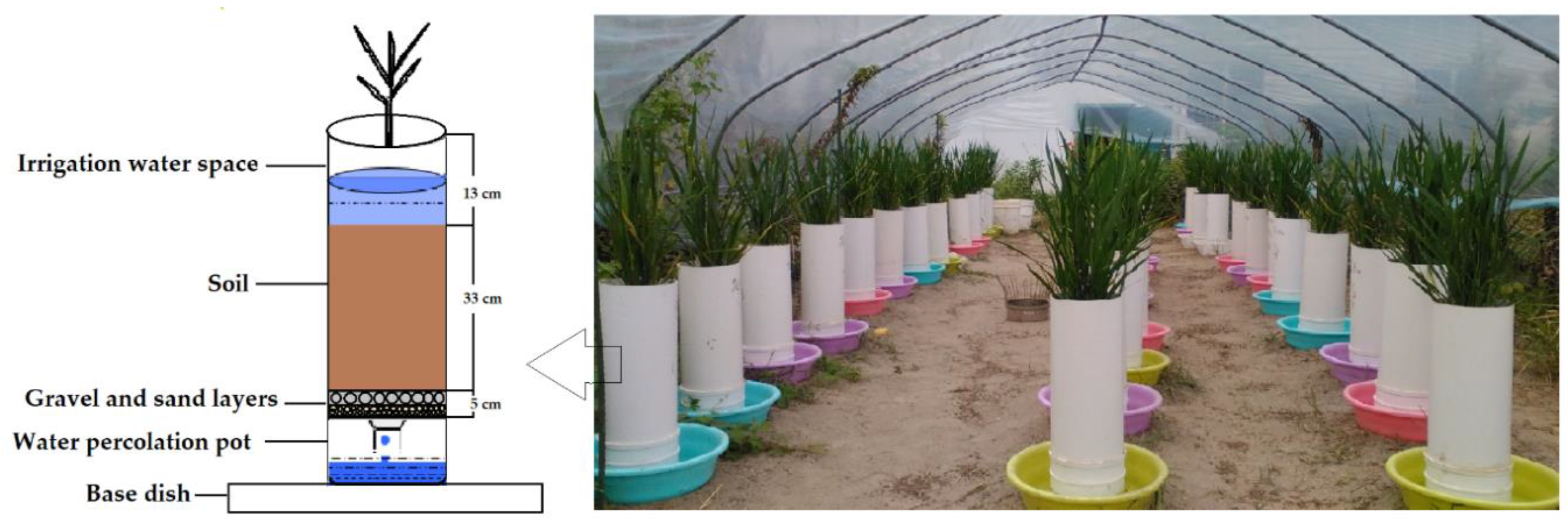 Agronomy 09 00100 g001 Agronomy 09 00100 g001