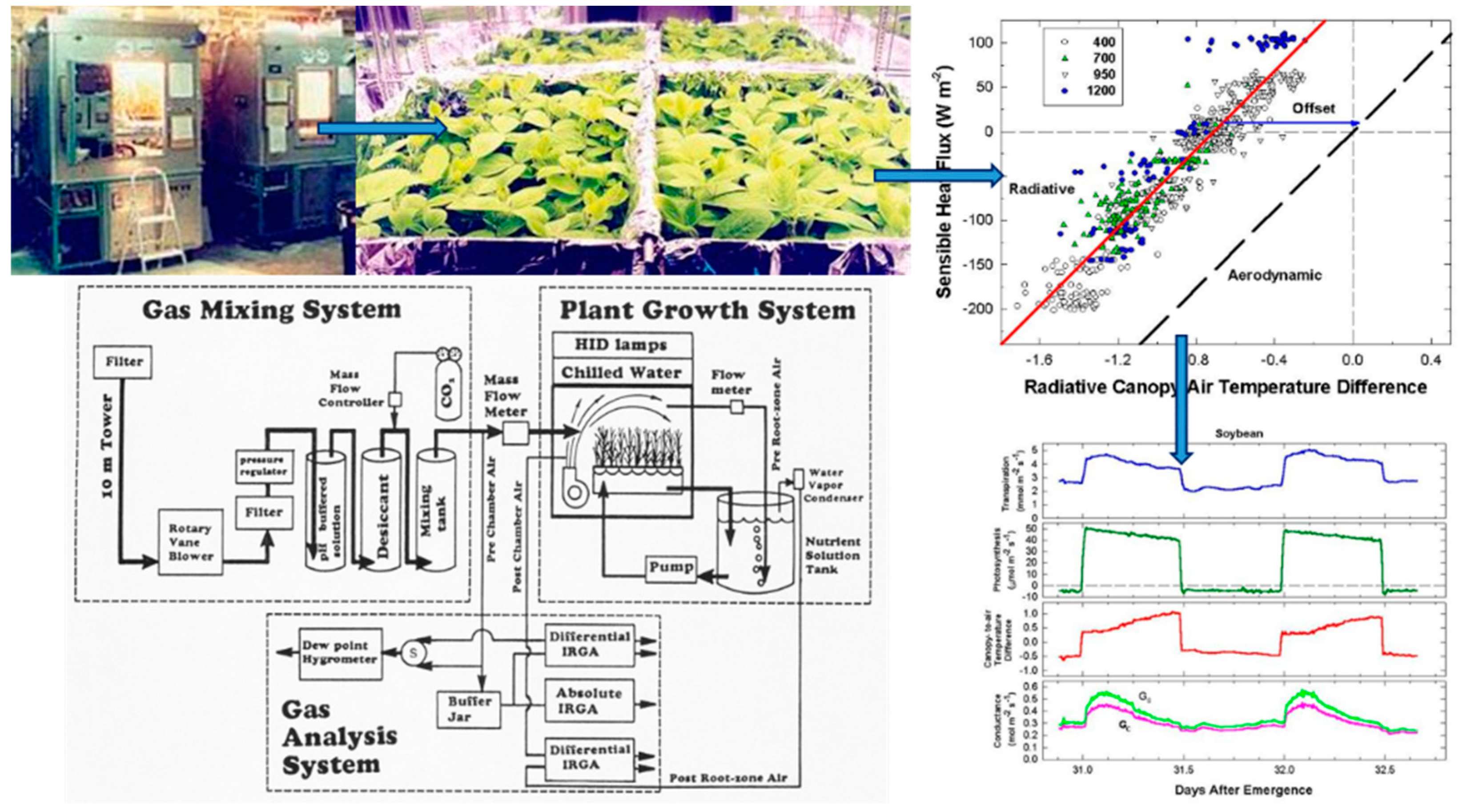 Agronomy 09 00114 g001