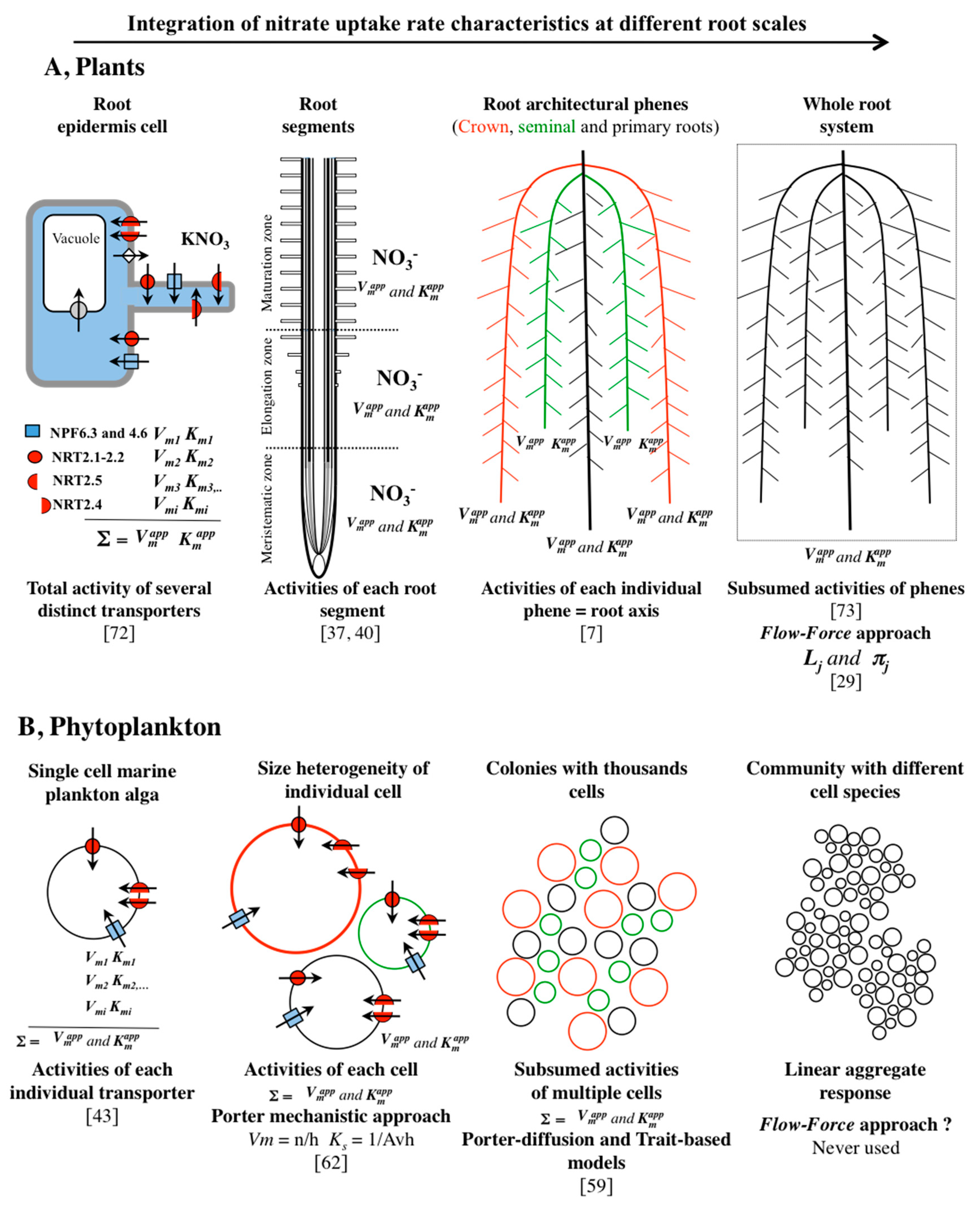 Agronomy 09 00116 g005