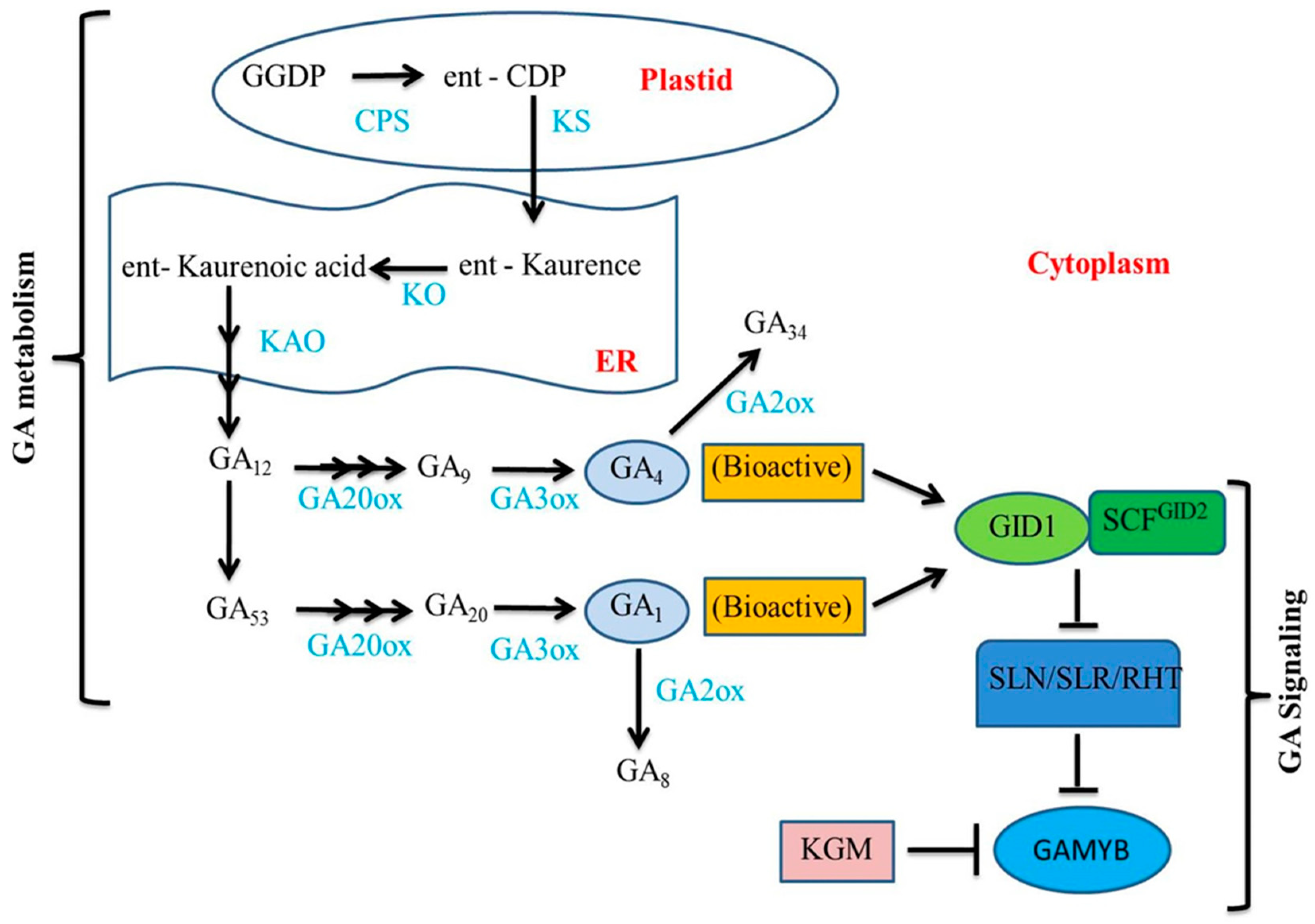Agronomy 09 00117 g003