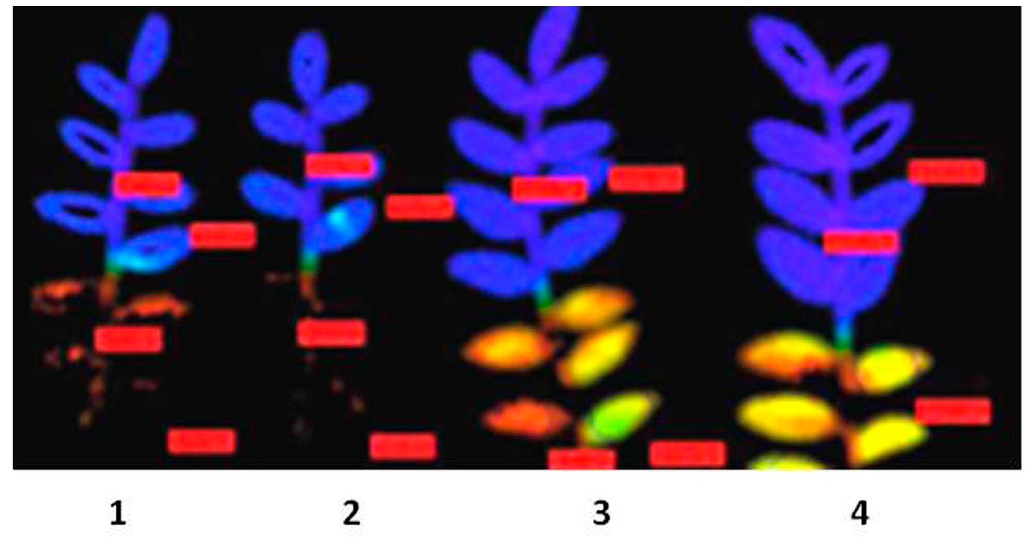 Agronomy 09 00126 g002