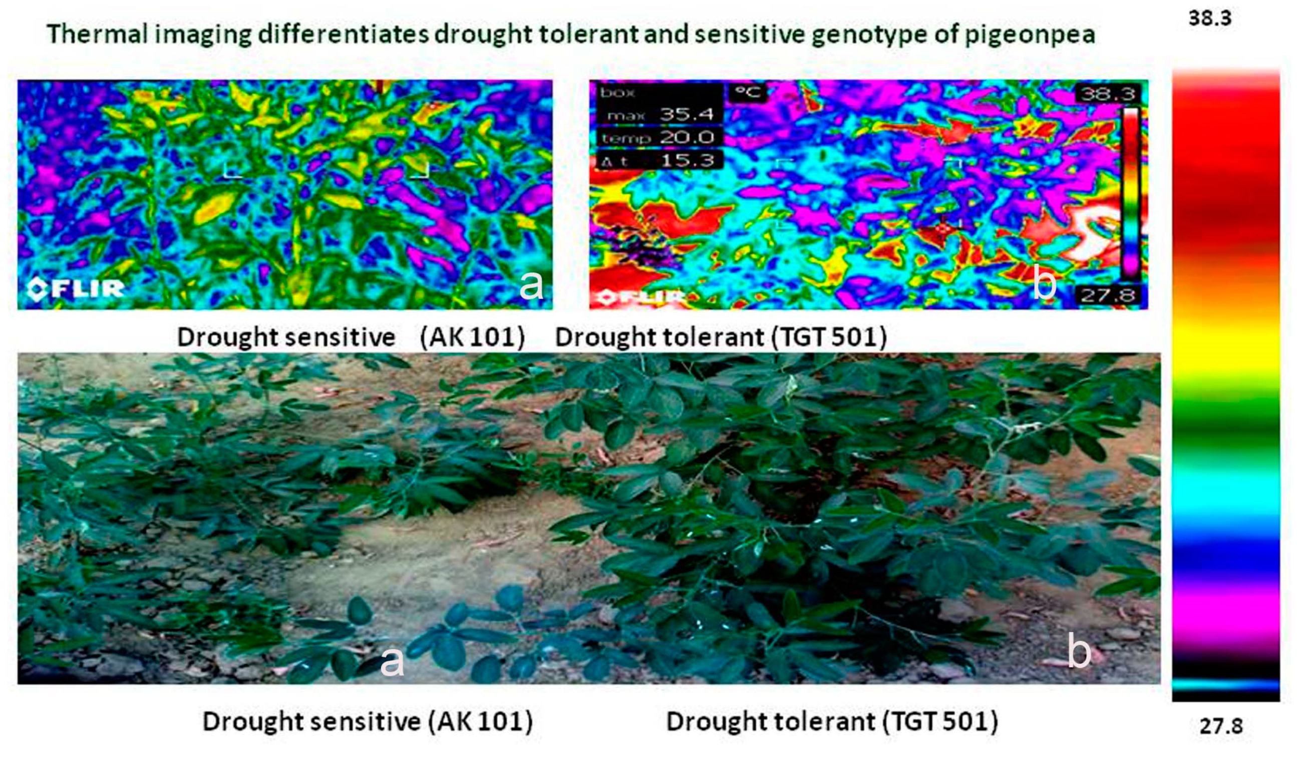 Agronomy 09 00126 g003