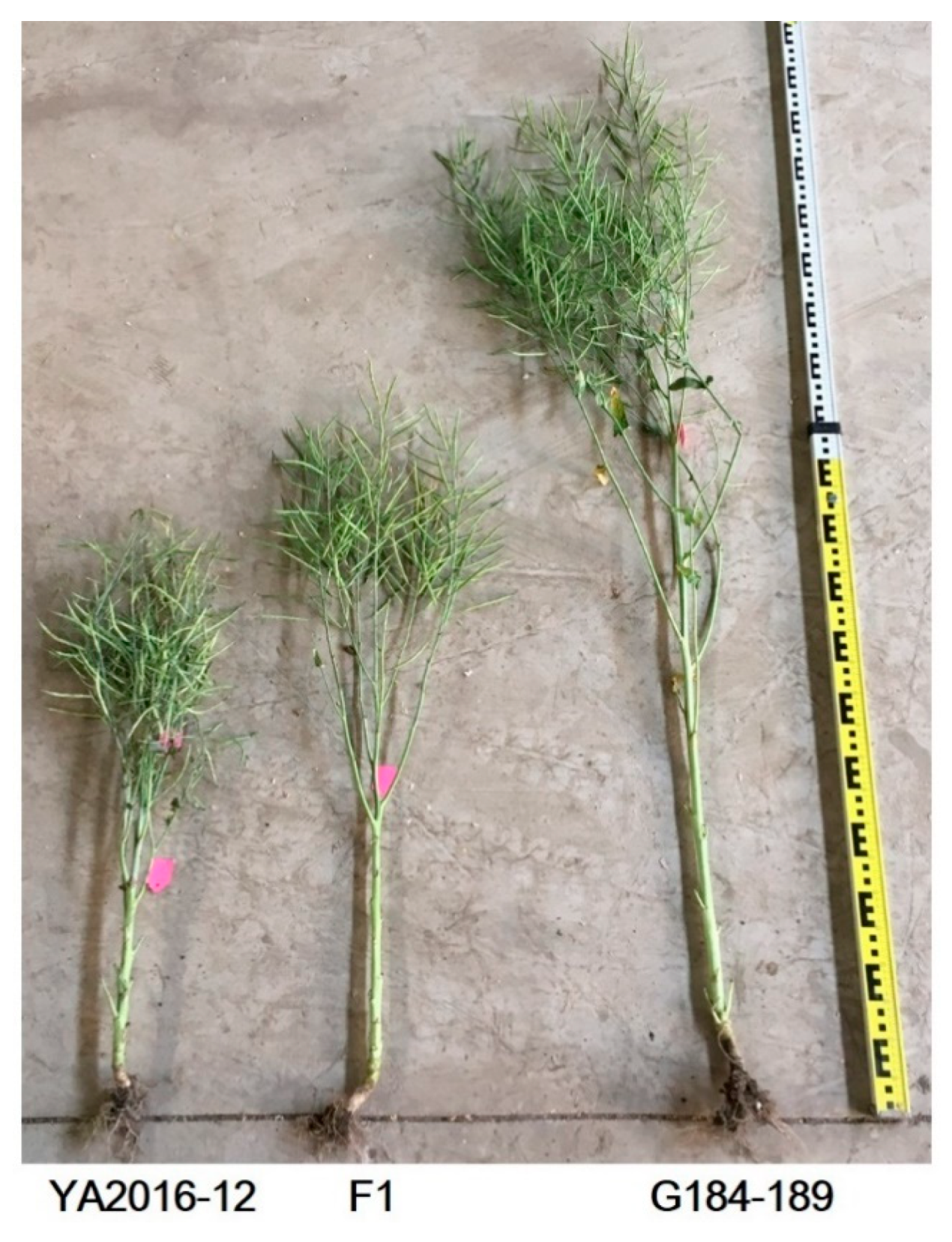 Agronomy 09 00129 g001 Agronomy 09 00129 g001