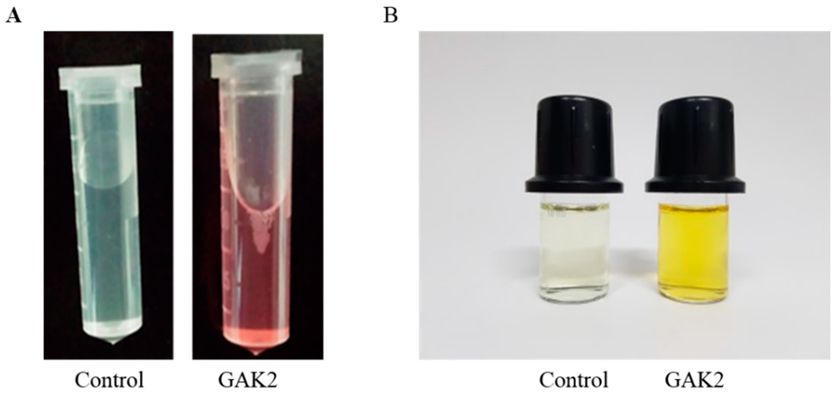 Agronomy 09 00144 g001