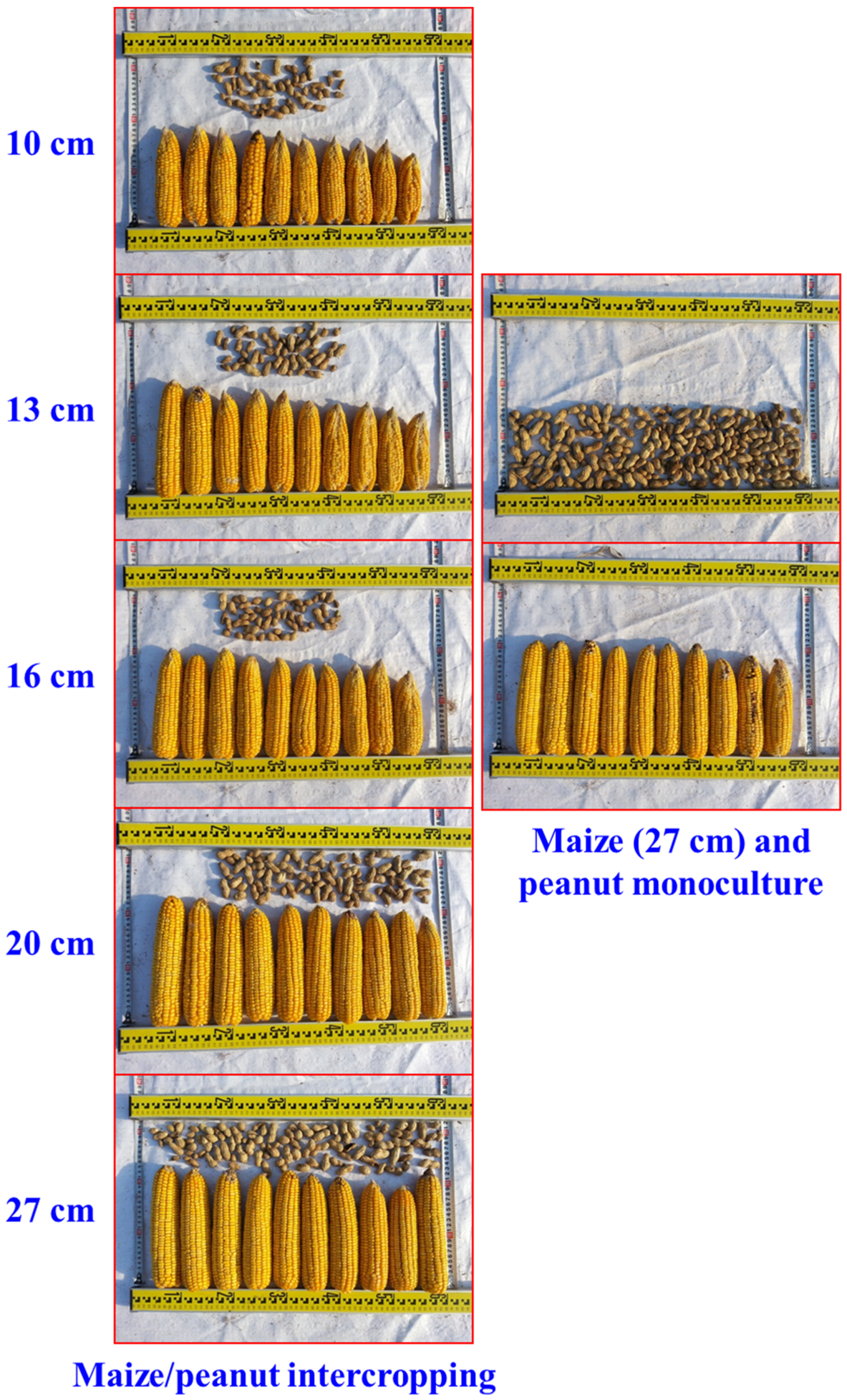 Agronomy 09 00150 g002 Agronomy 09 00150 g002