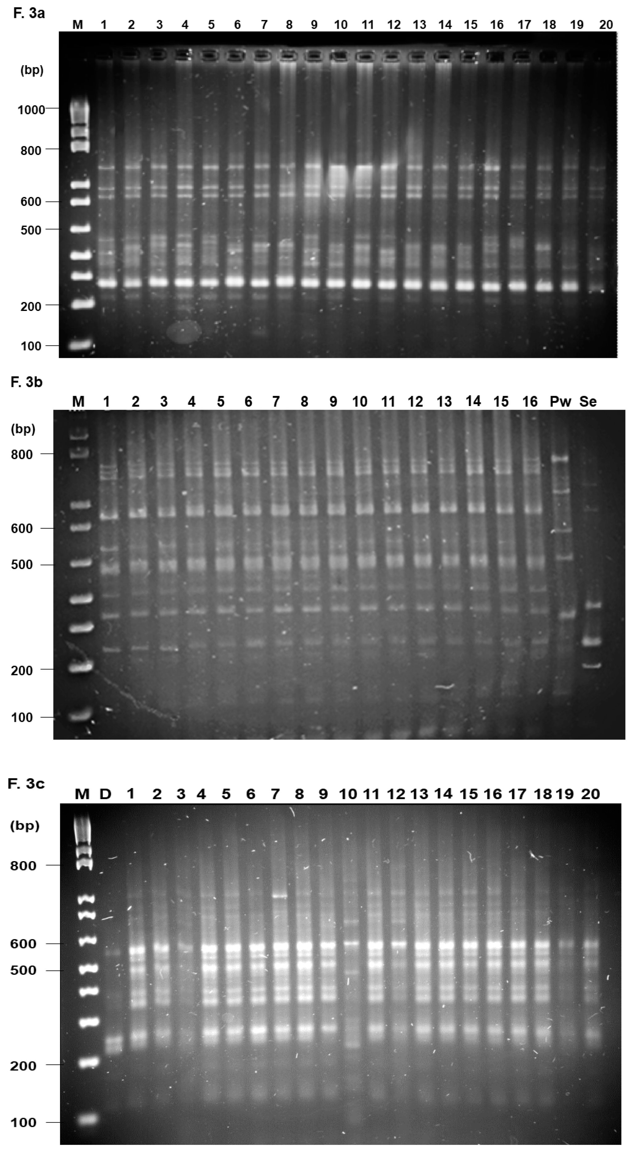 Agronomy 09 00166 g003 Agronomy 09 00166 g003