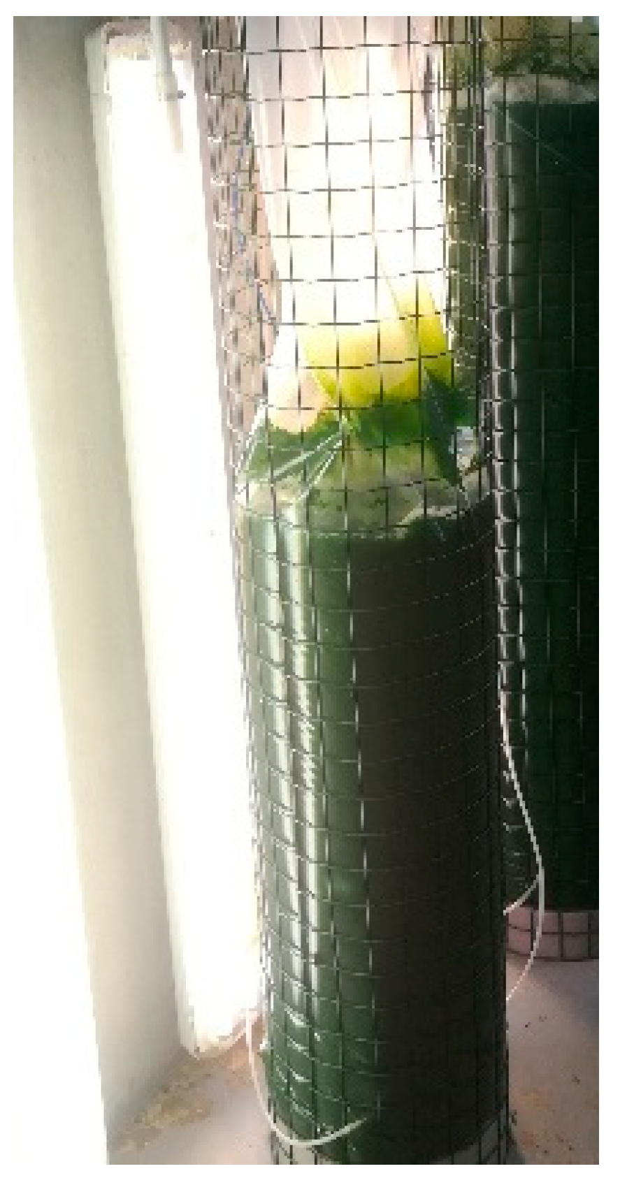 Agronomy 09 00192 g001