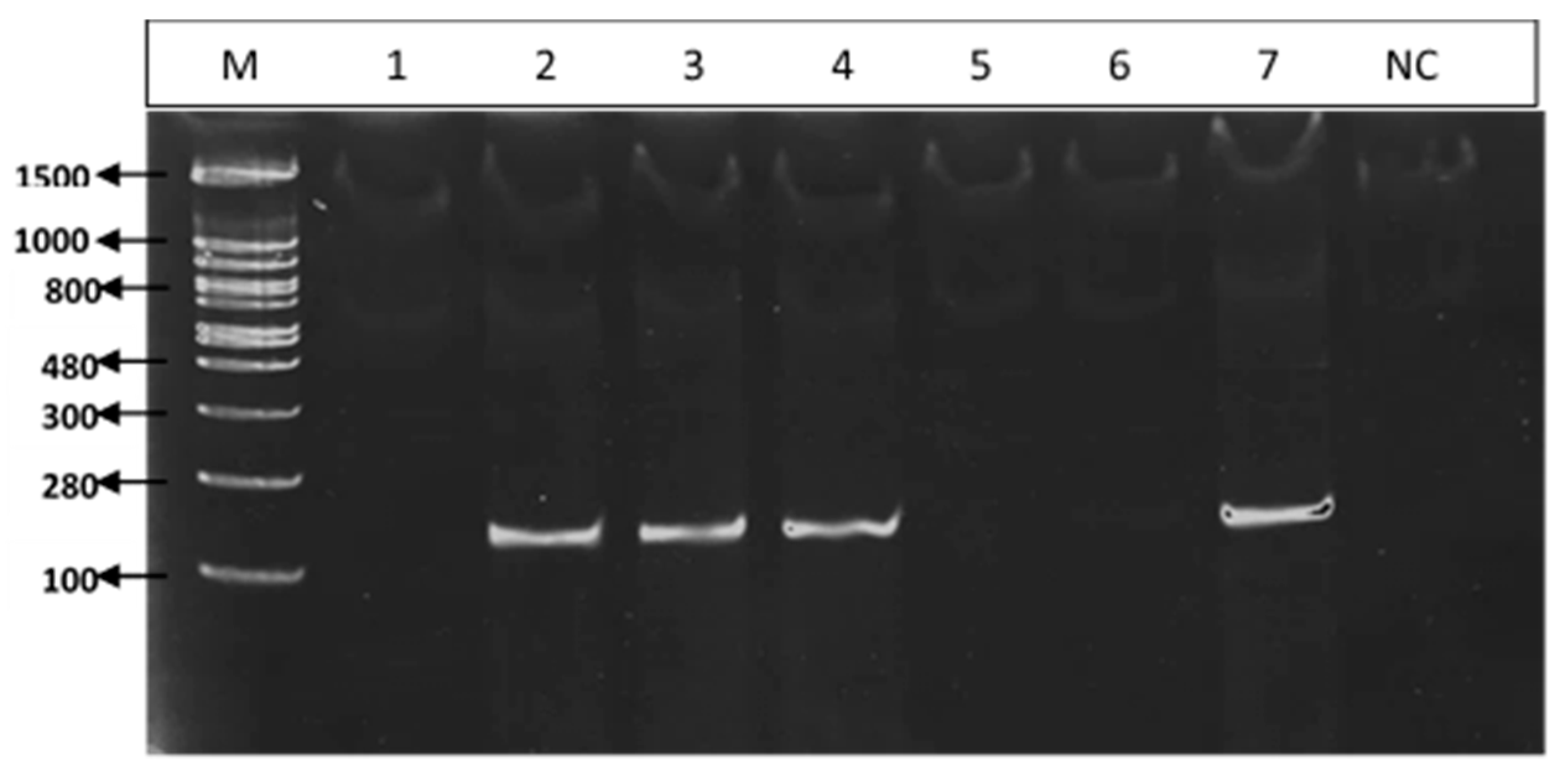 Agronomy 09 00205 g007