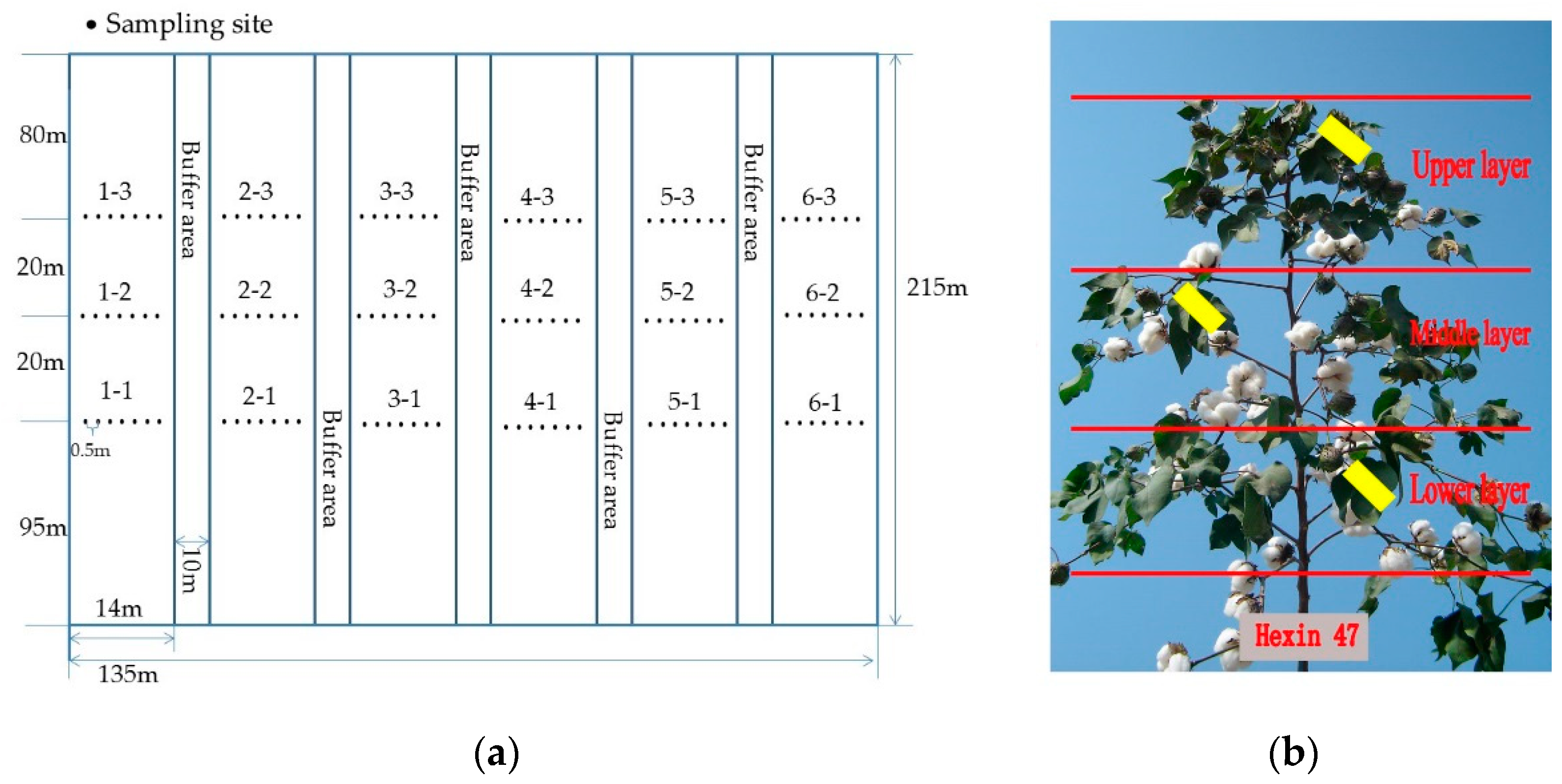 Agronomy 09 00217 g002 Agronomy 09 00217 g002