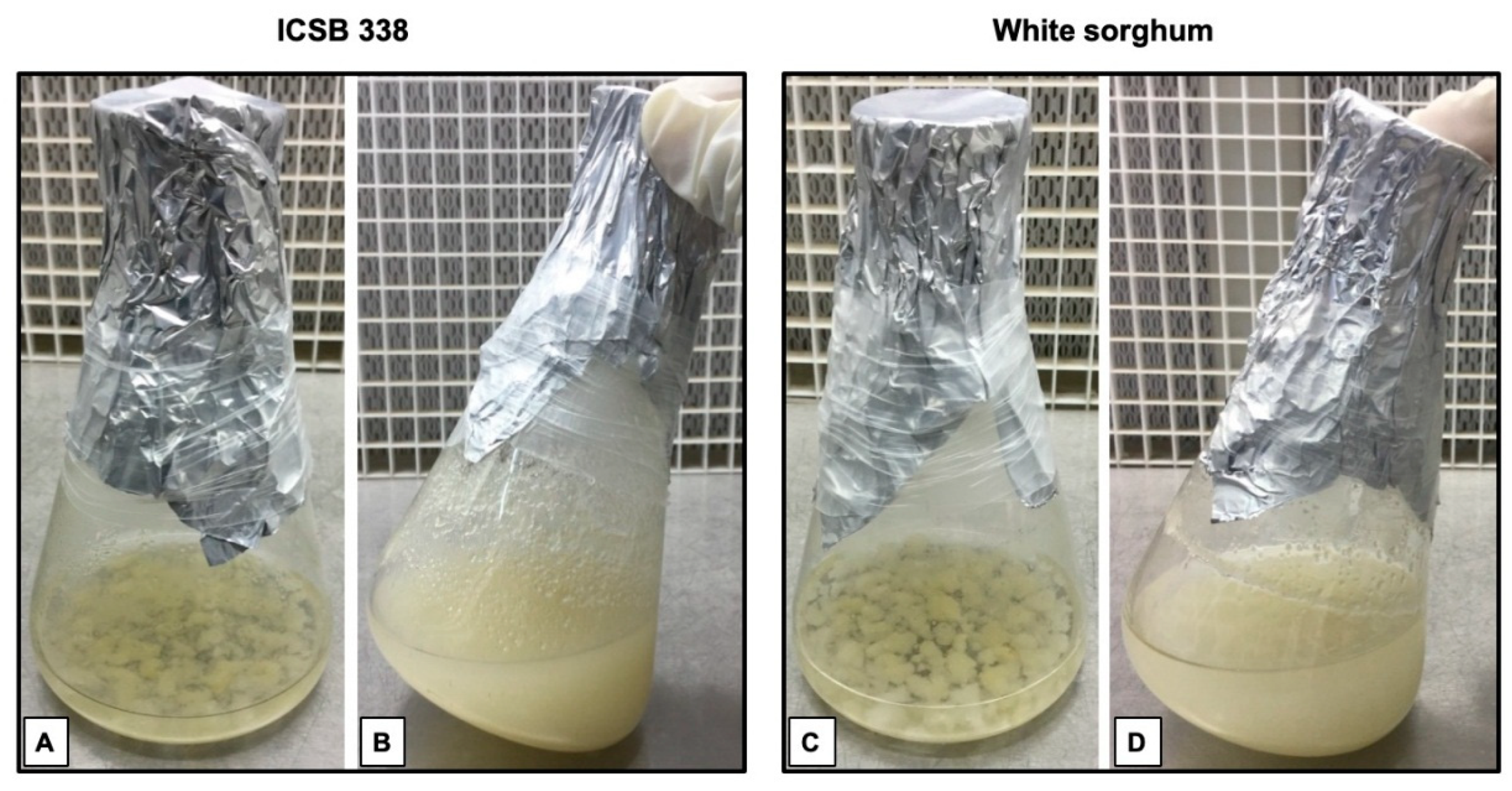 Agronomy 09 00218 g003
