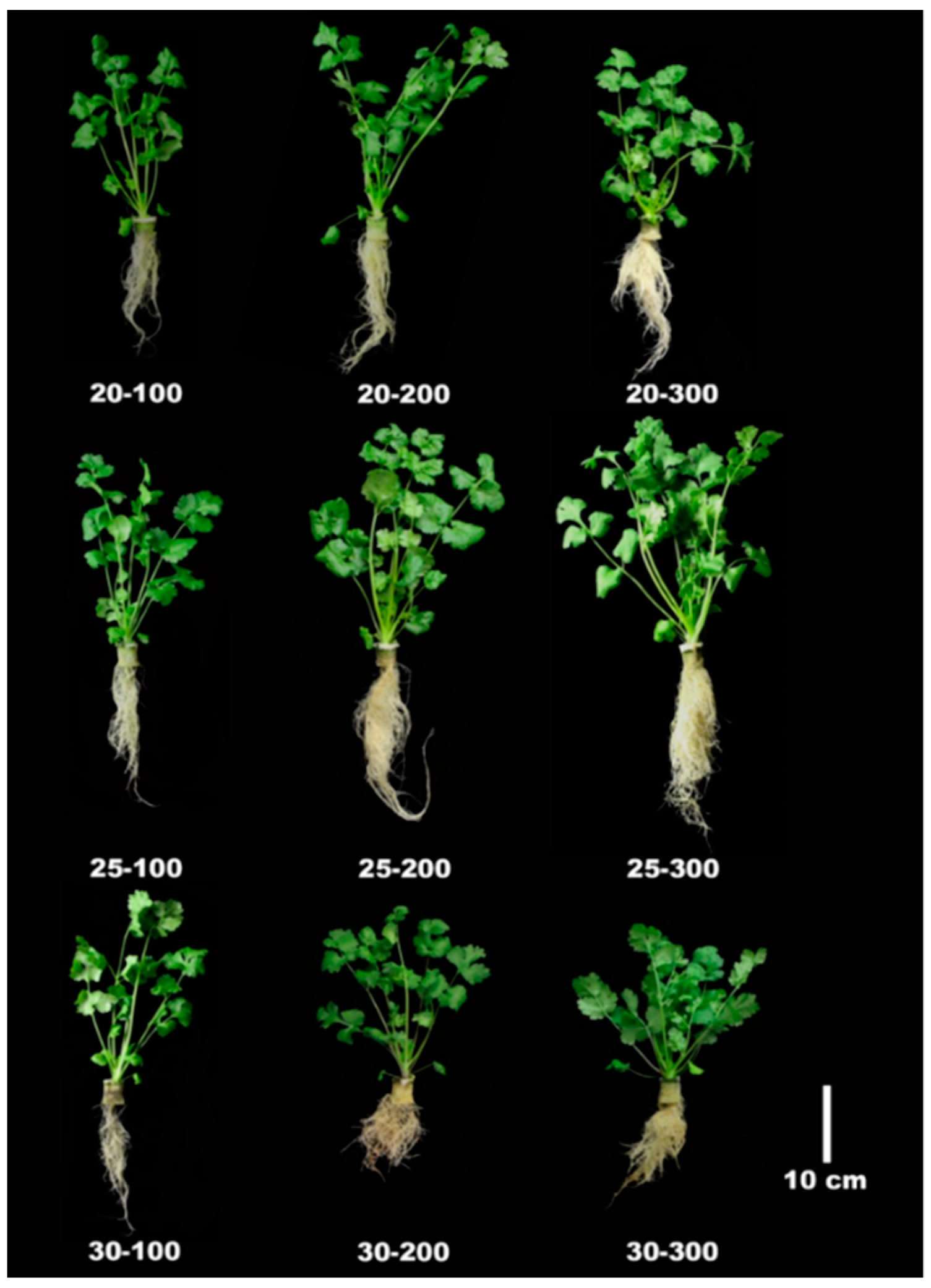 Agronomy 09 00224 g001