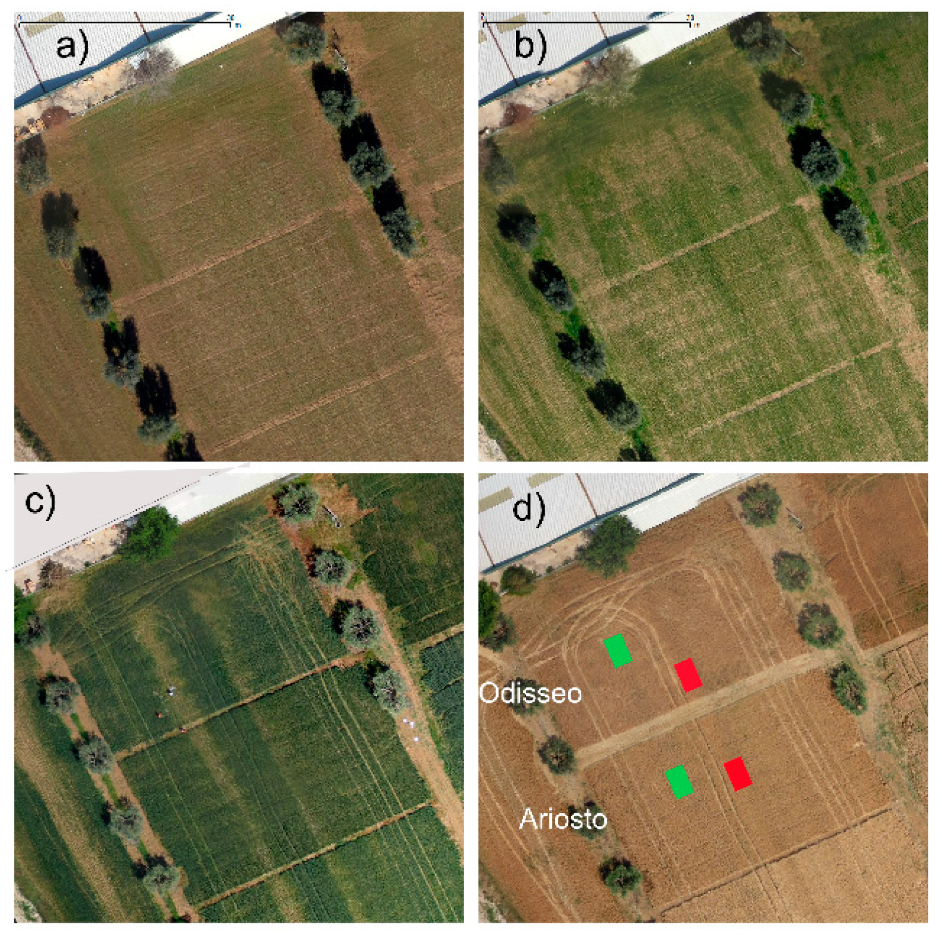 Agronomy 09 00226 g001