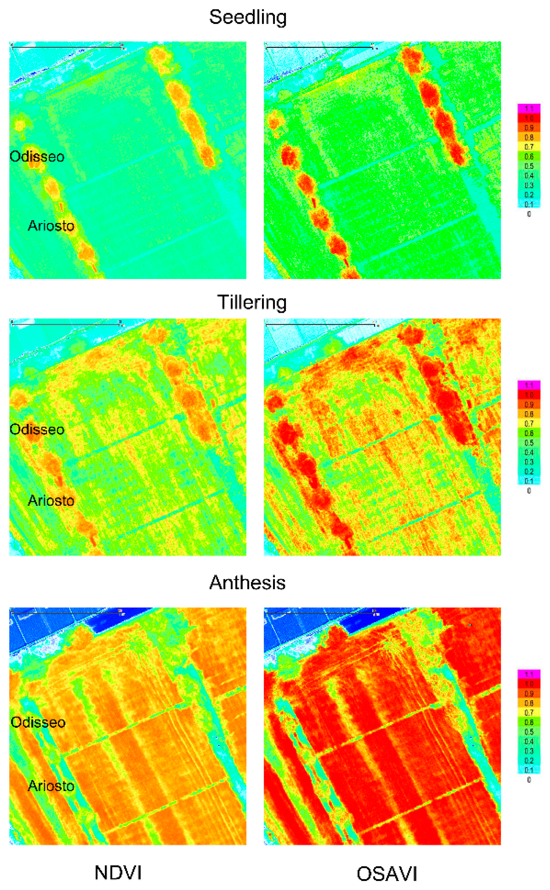 Agronomy 09 00226 g002