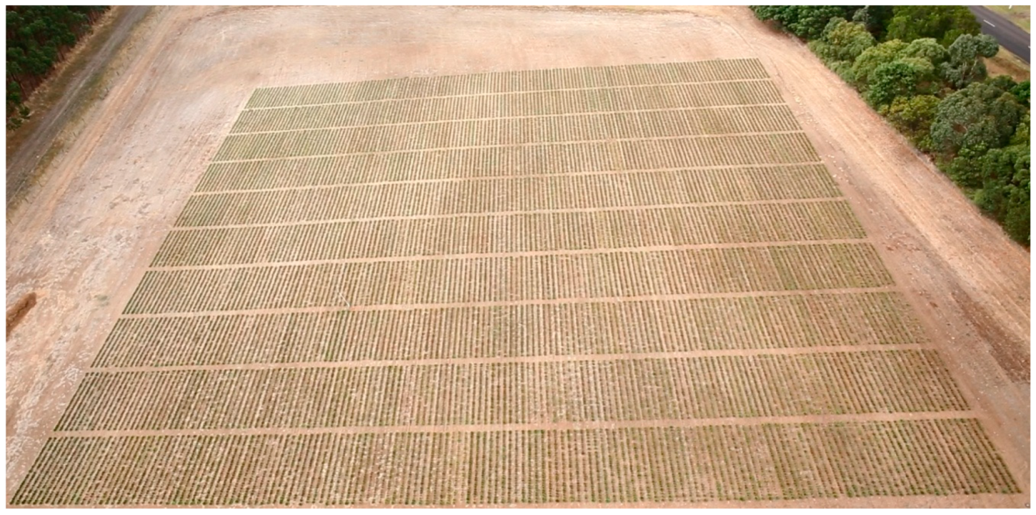 Agronomy 09 00293 g001 Agronomy 09 00293 g001