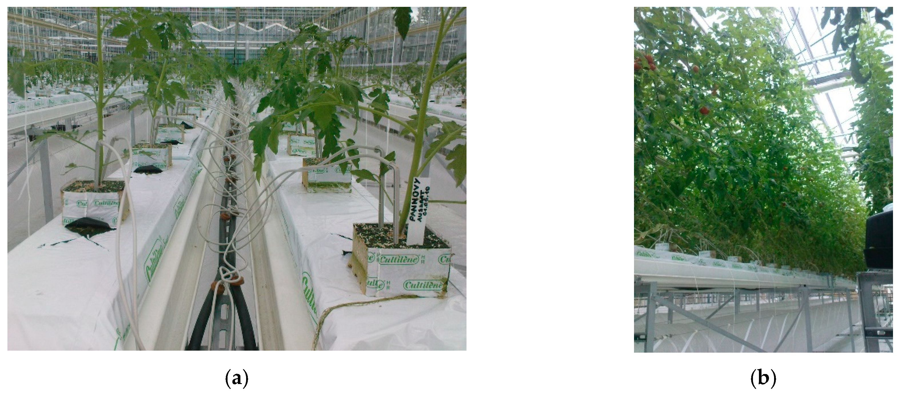 Agronomy 09 00298 g002