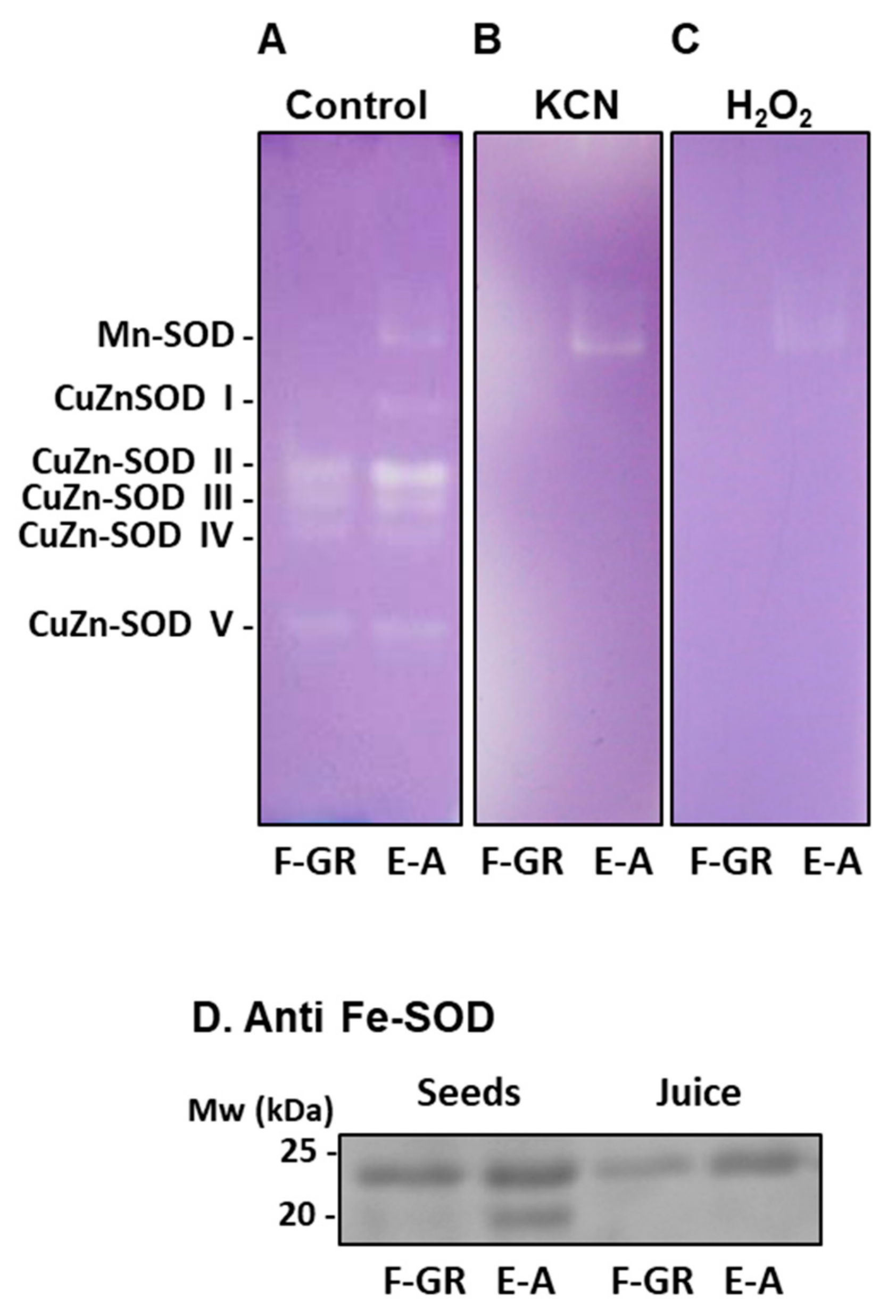 Agronomy 09 00338 g002