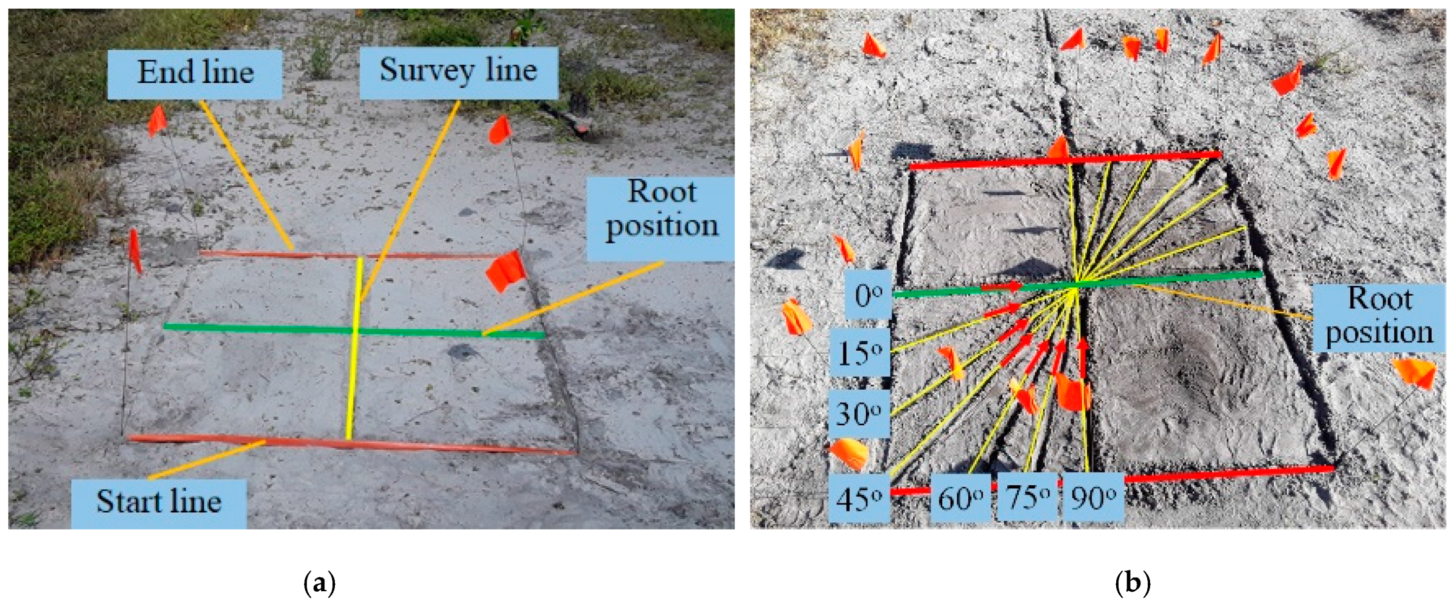 Agronomy 09 00354 g004