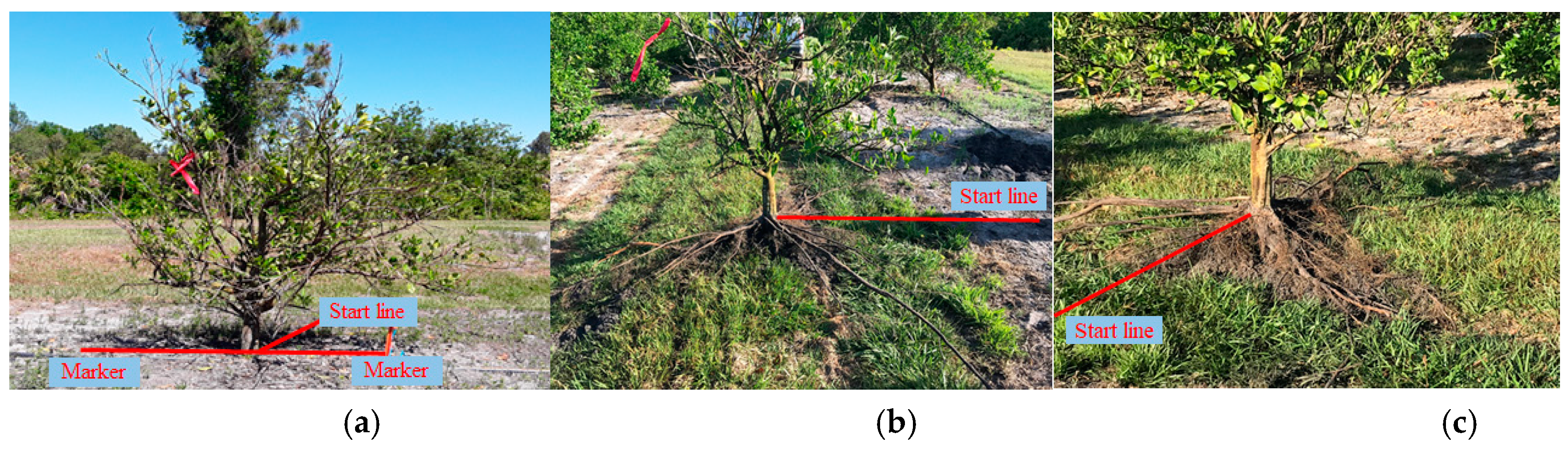 Agronomy 09 00354 g006