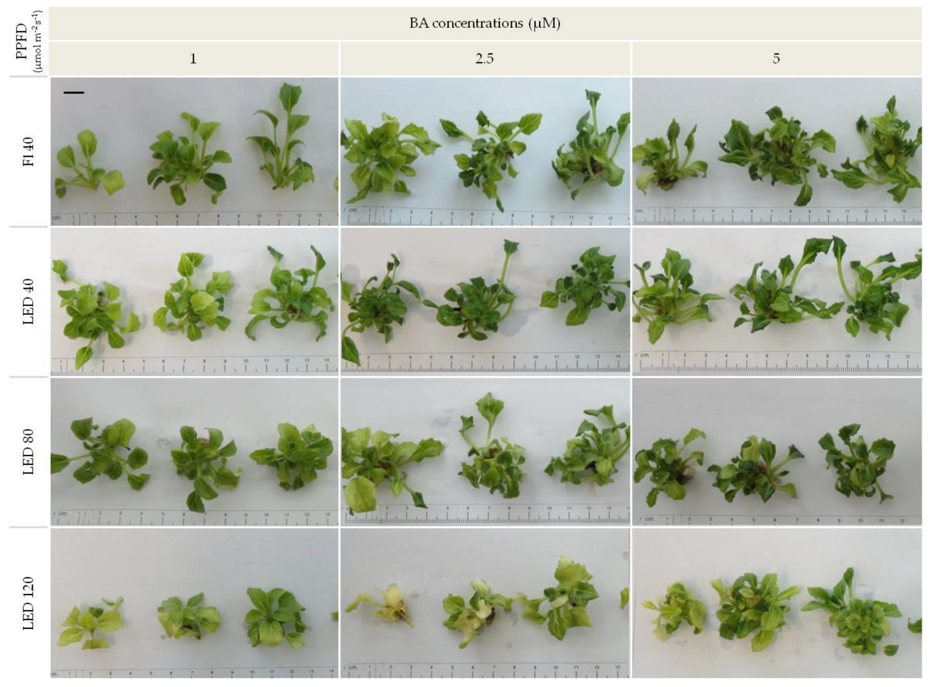 Agronomy 09 00358 g002