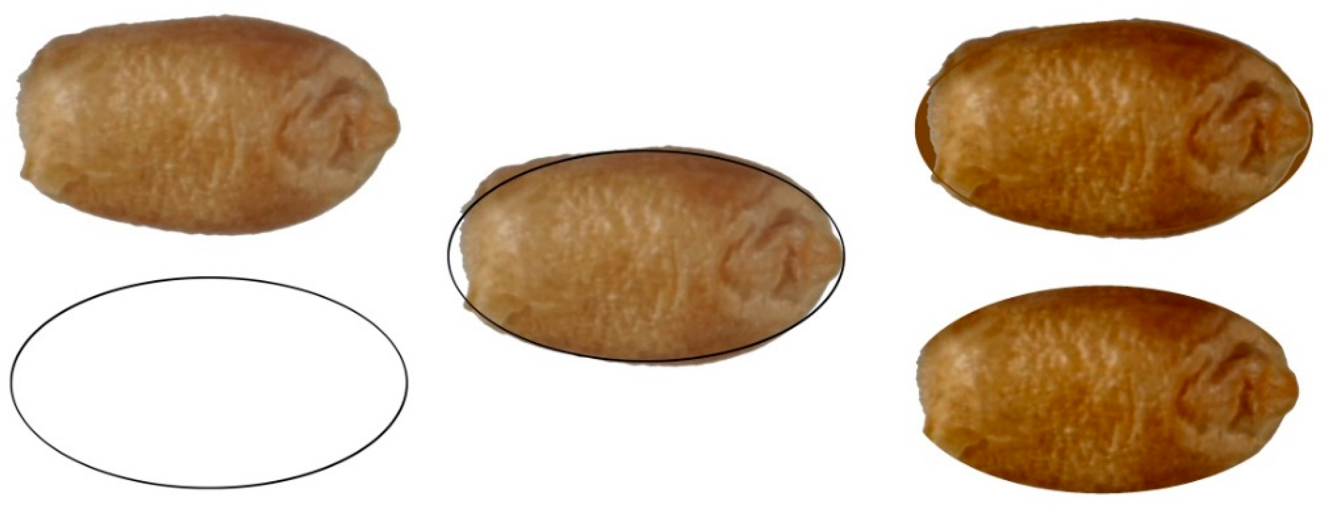 Agronomy 09 00399 g002 Agronomy 09 00399 g002