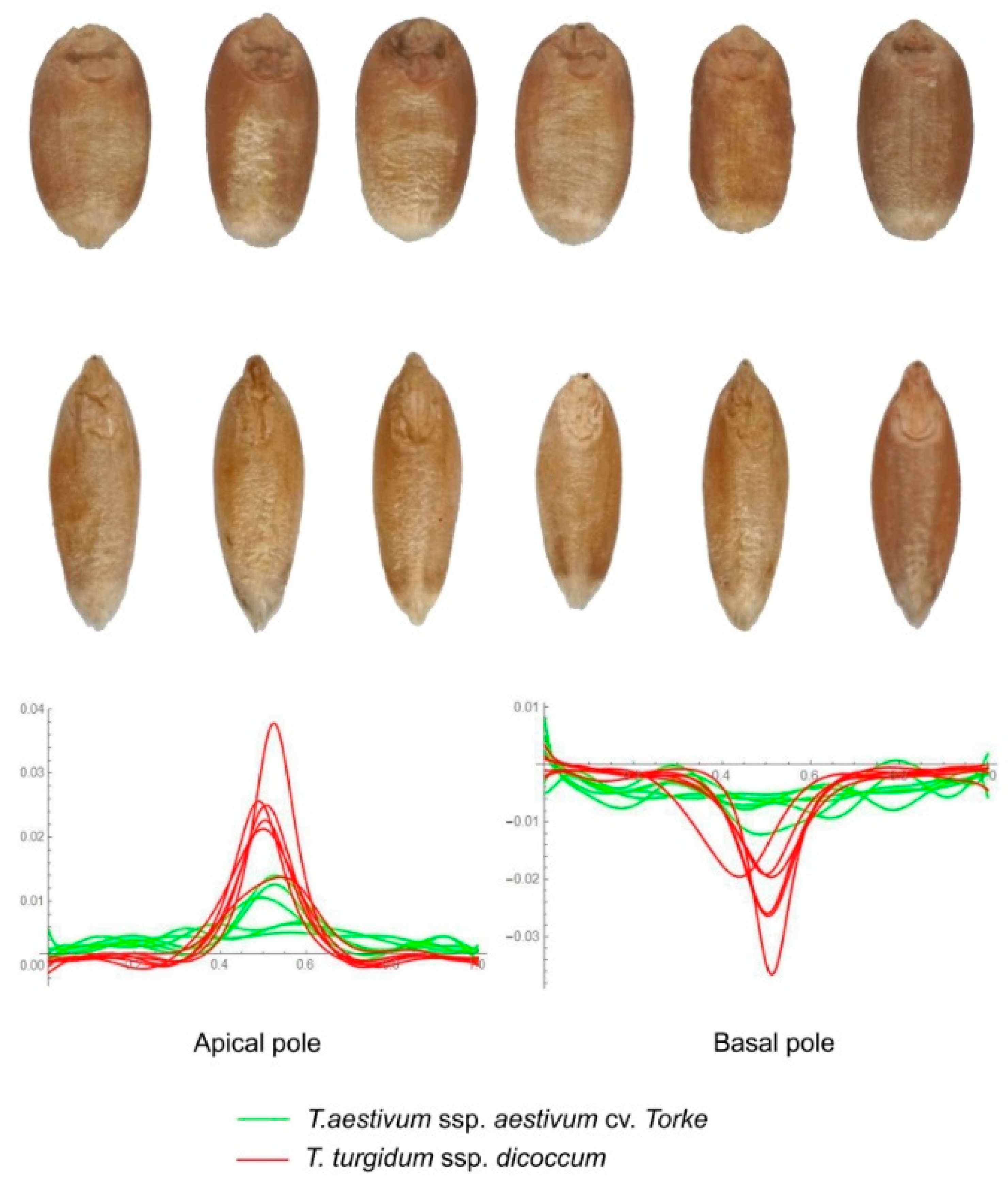 Agronomy 09 00399 g005 Agronomy 09 00399 g005