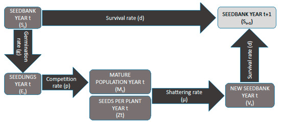 Agronomy 09 00422 g0a1