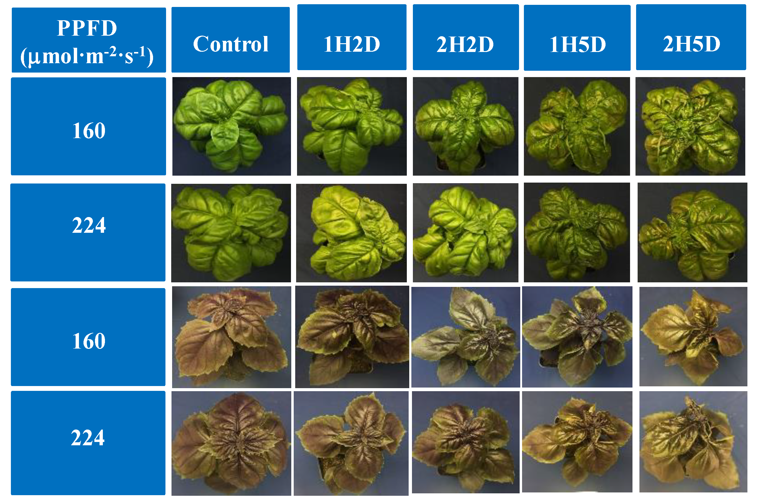 Agronomy 09 00434 g003