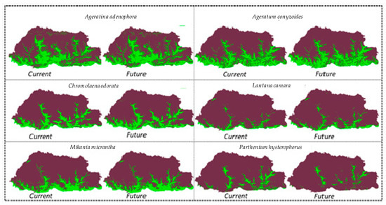 Agronomy 09 00442 g0a2