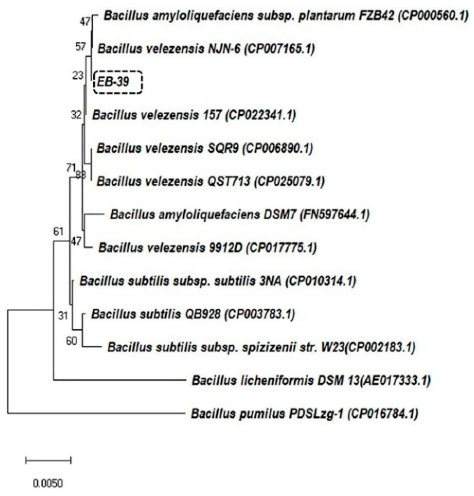 Agronomy 09 00470 g001